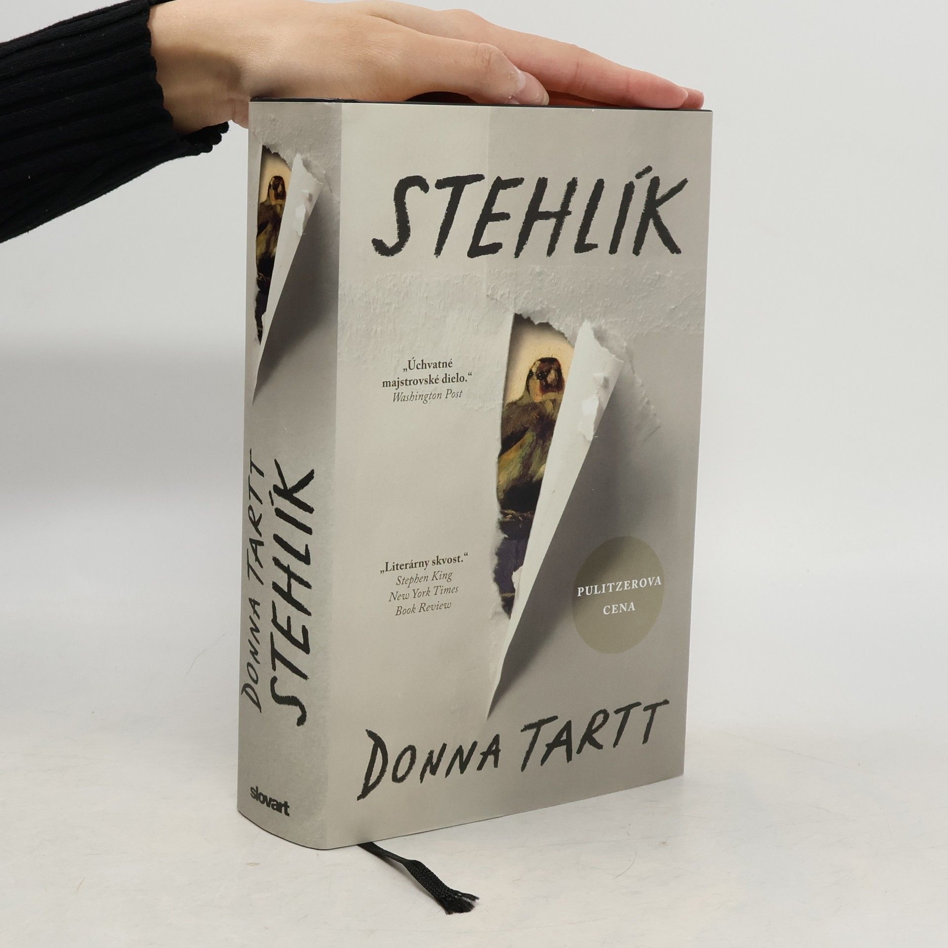 Donna Tartt Stehlík