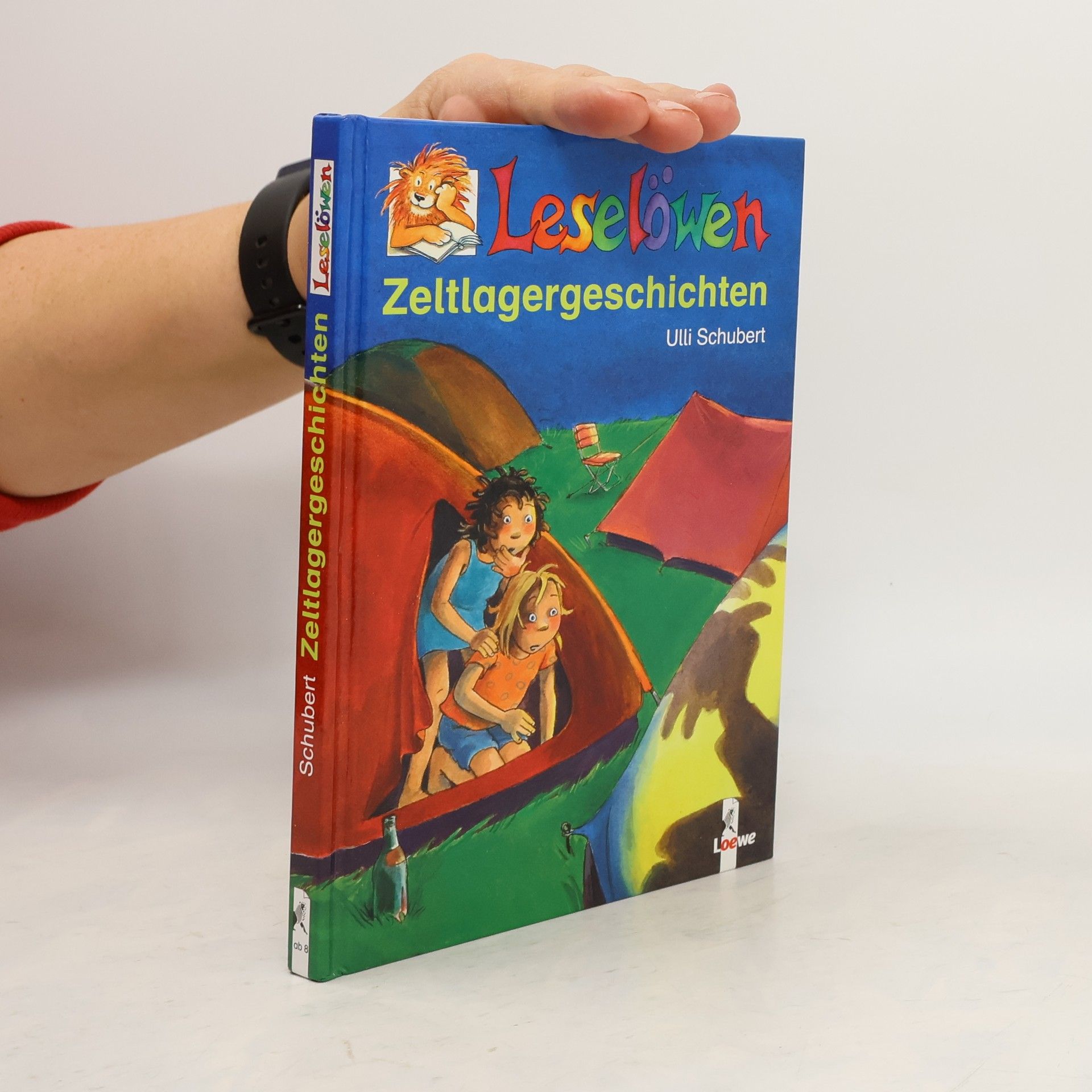 Leselöwen-Zeltlagergeschichten