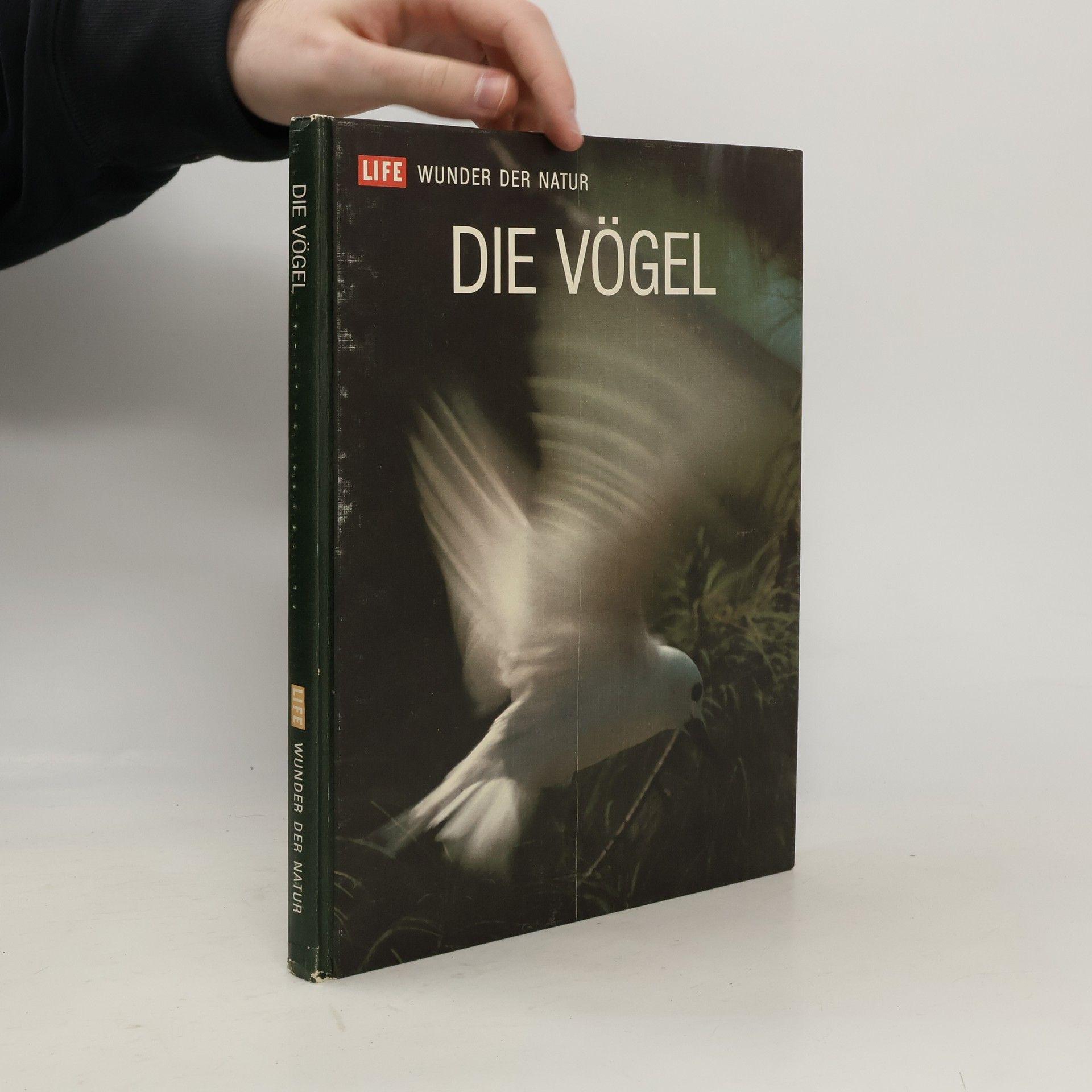 Autorenkollektiv Die Vögel