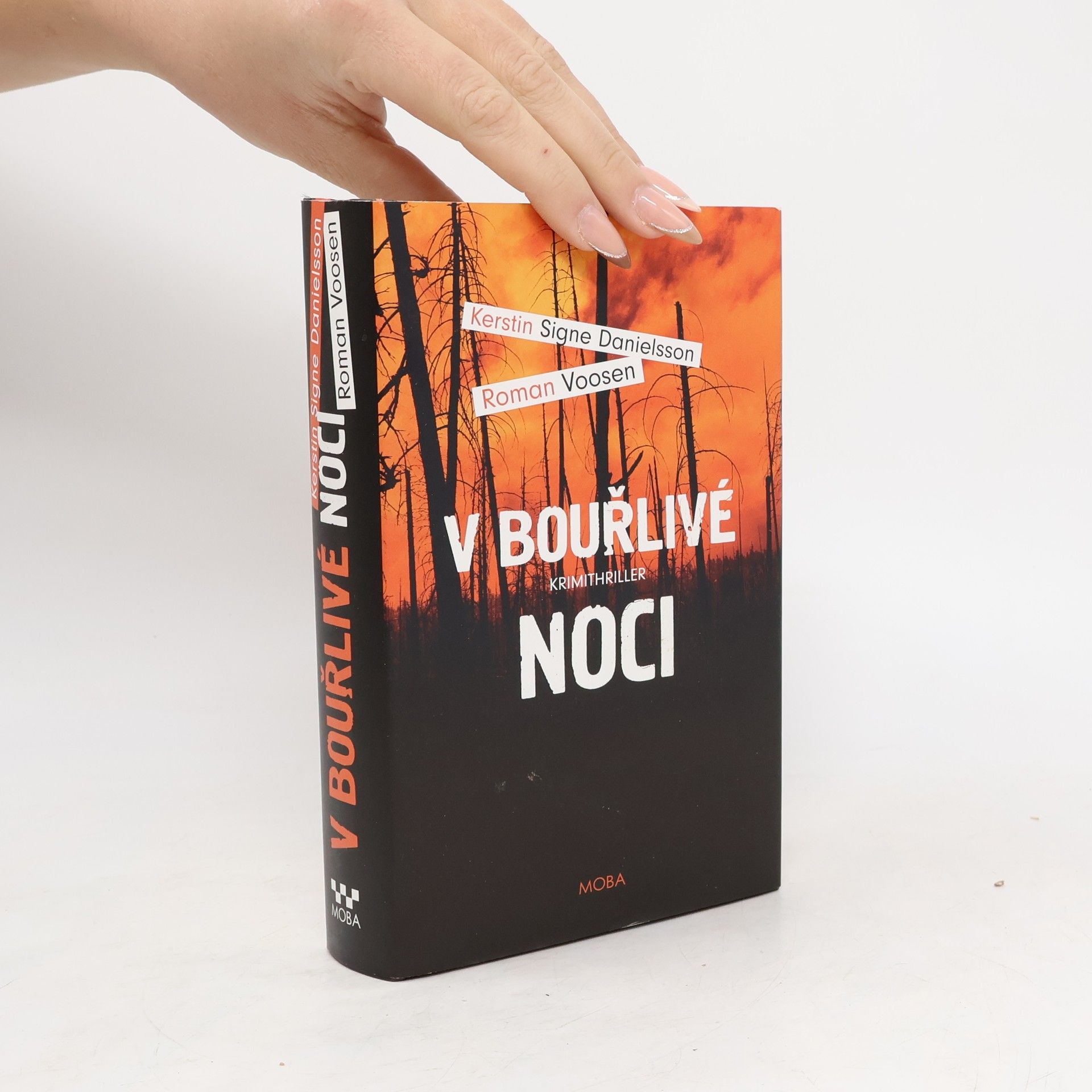 Roman Voosen V bouřlivé noci