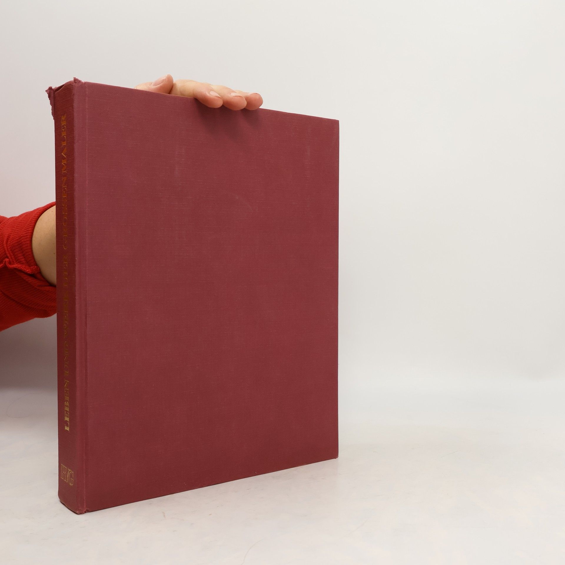 Autores varios Leben und werk der grossen Maler