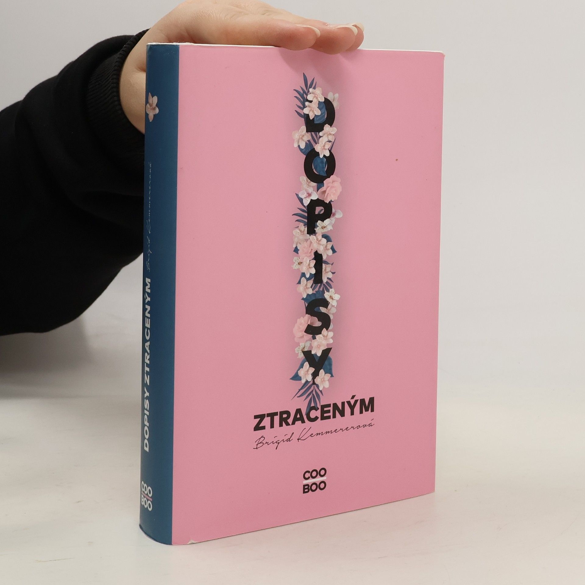 Brigid Kemmerer Dopisy ztraceným