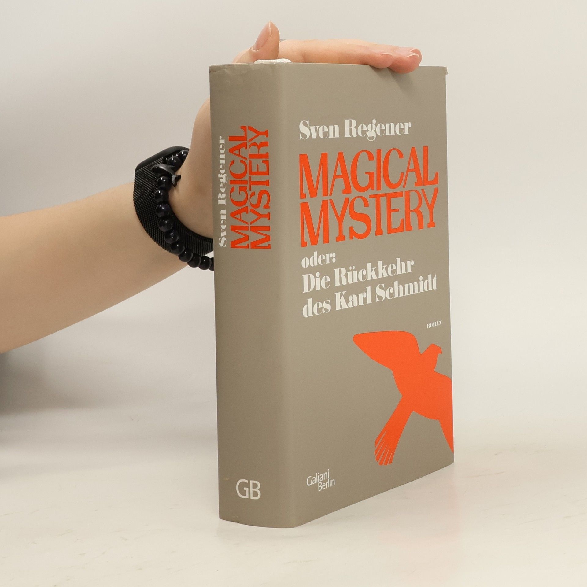 Magical Mystery oder: die Rückkehr des Karl Schmidt