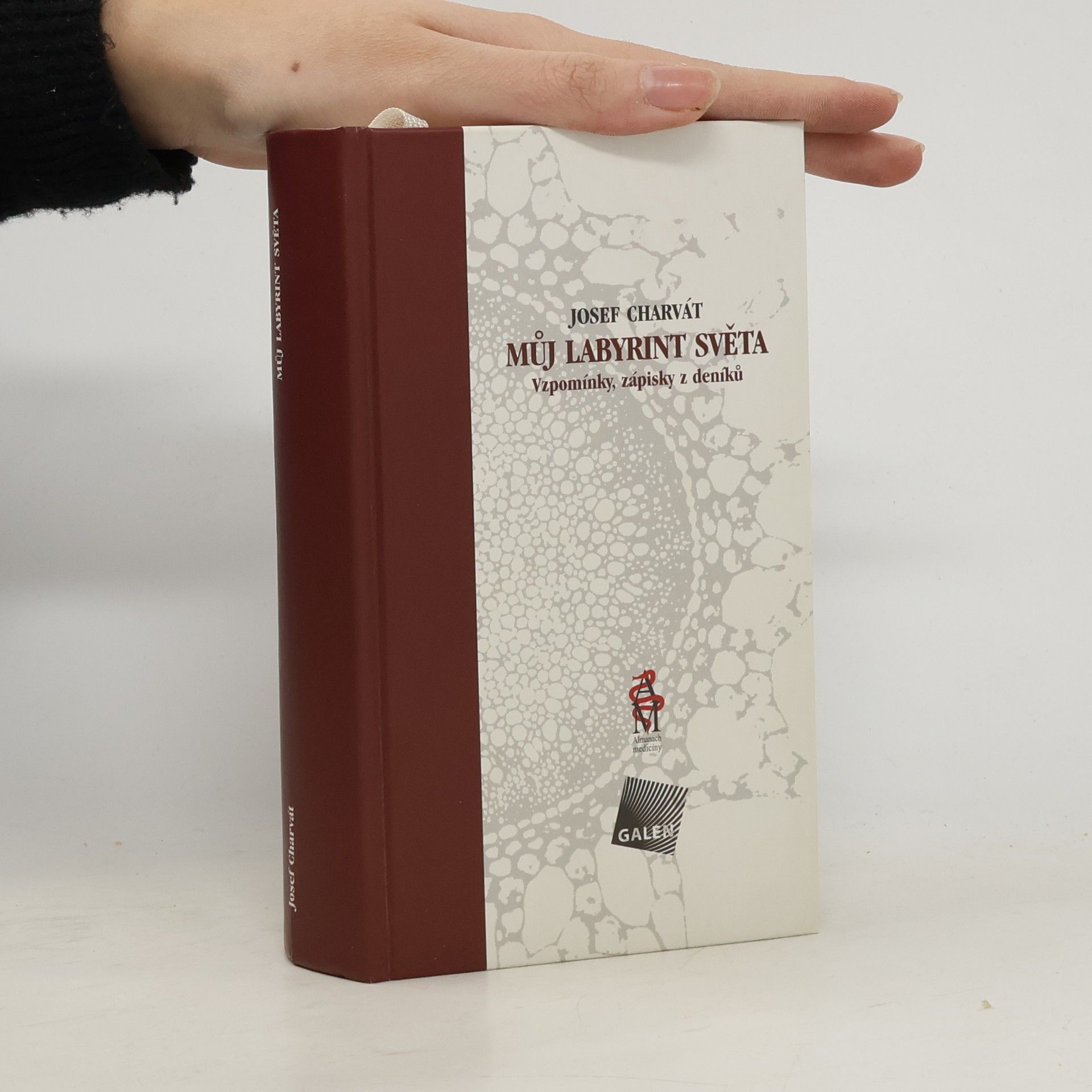 Můj labyrint světa : vzpomínky, zápisky z deníků