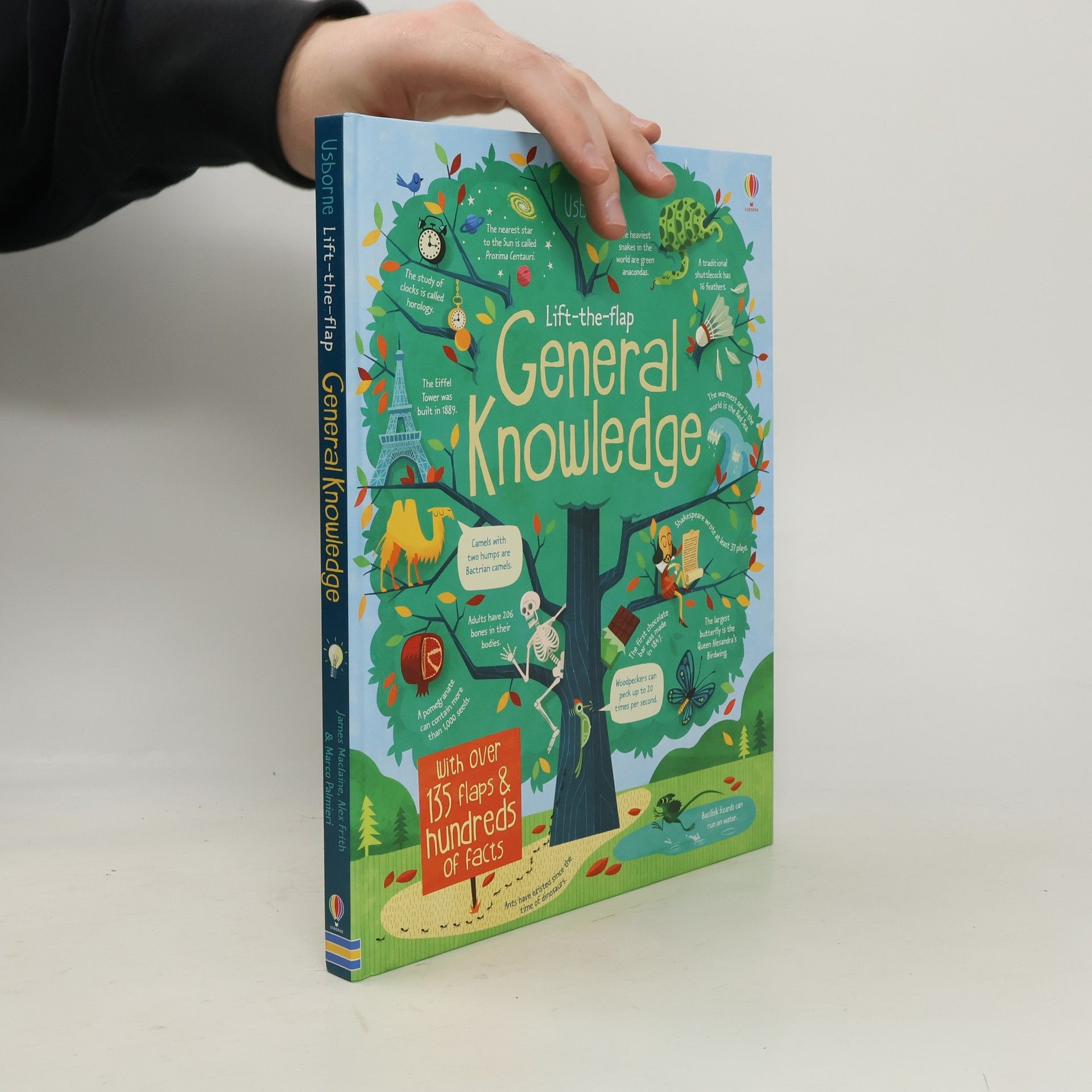 General knowledge : with over 135 flaps & hundreds of facts