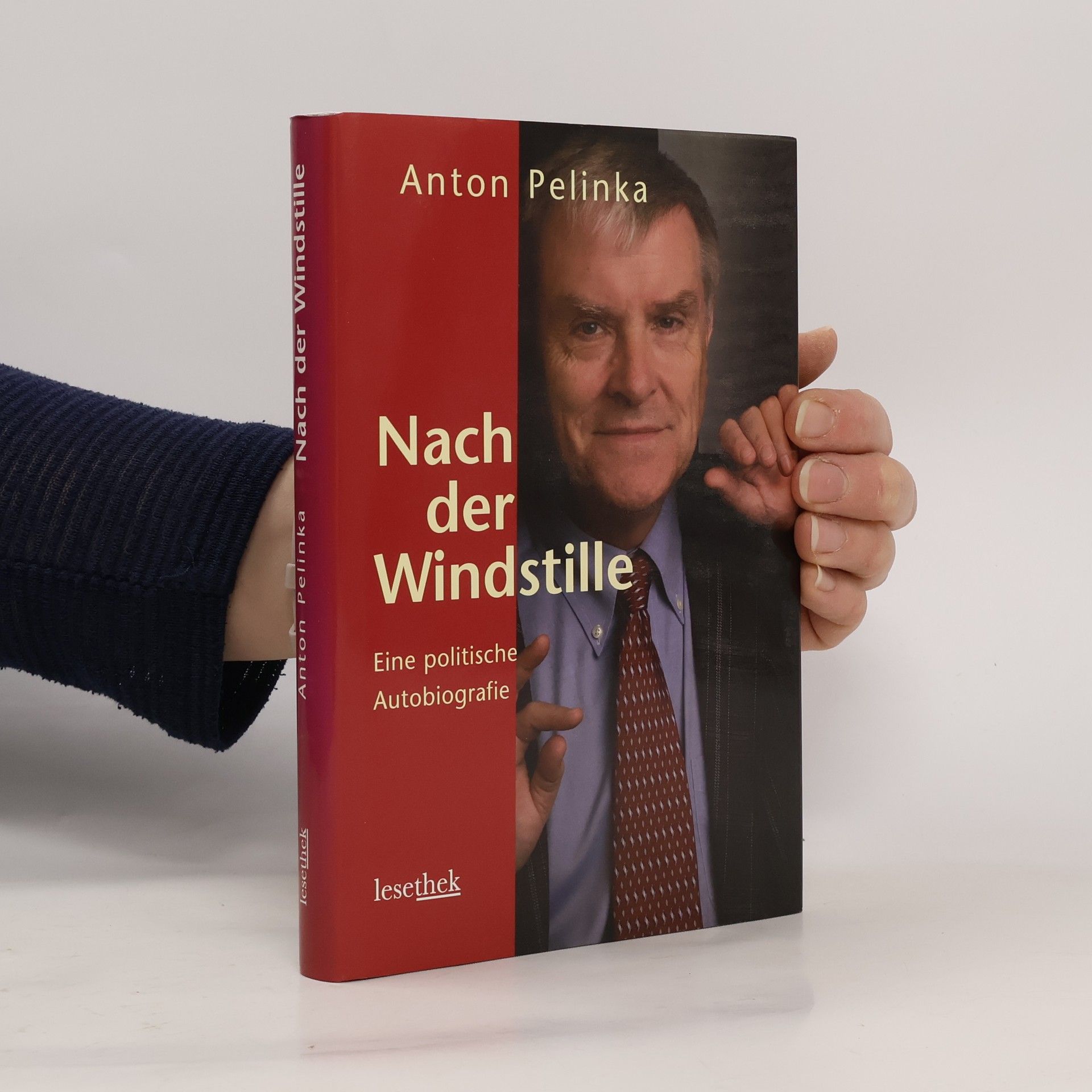 Anton Pelinka Nach der Windstille