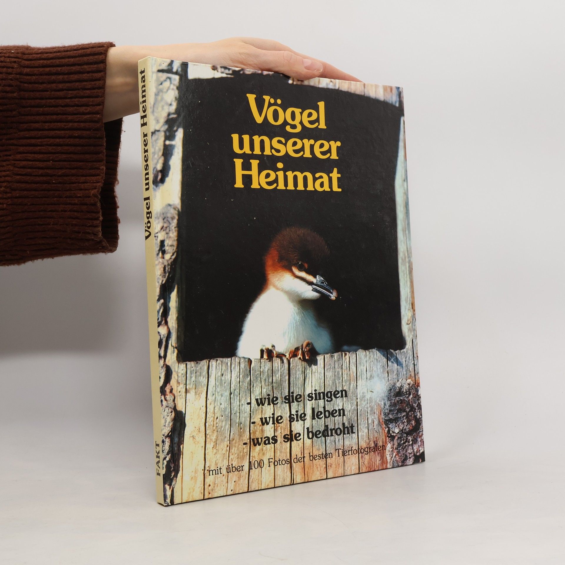 Vögel unserer Heimat