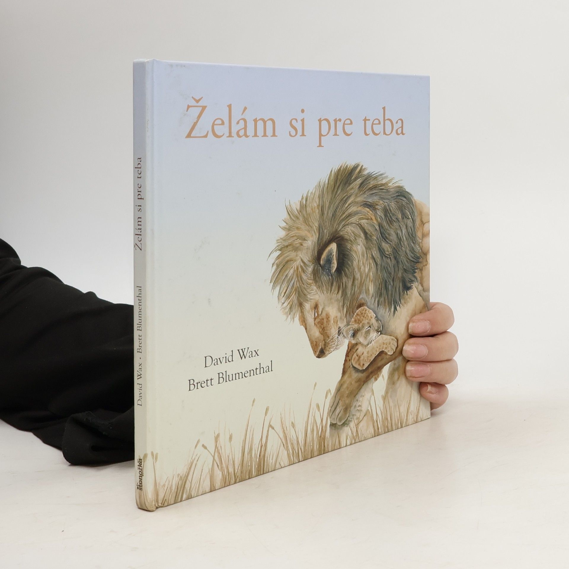 David Wax Želám si pre teba