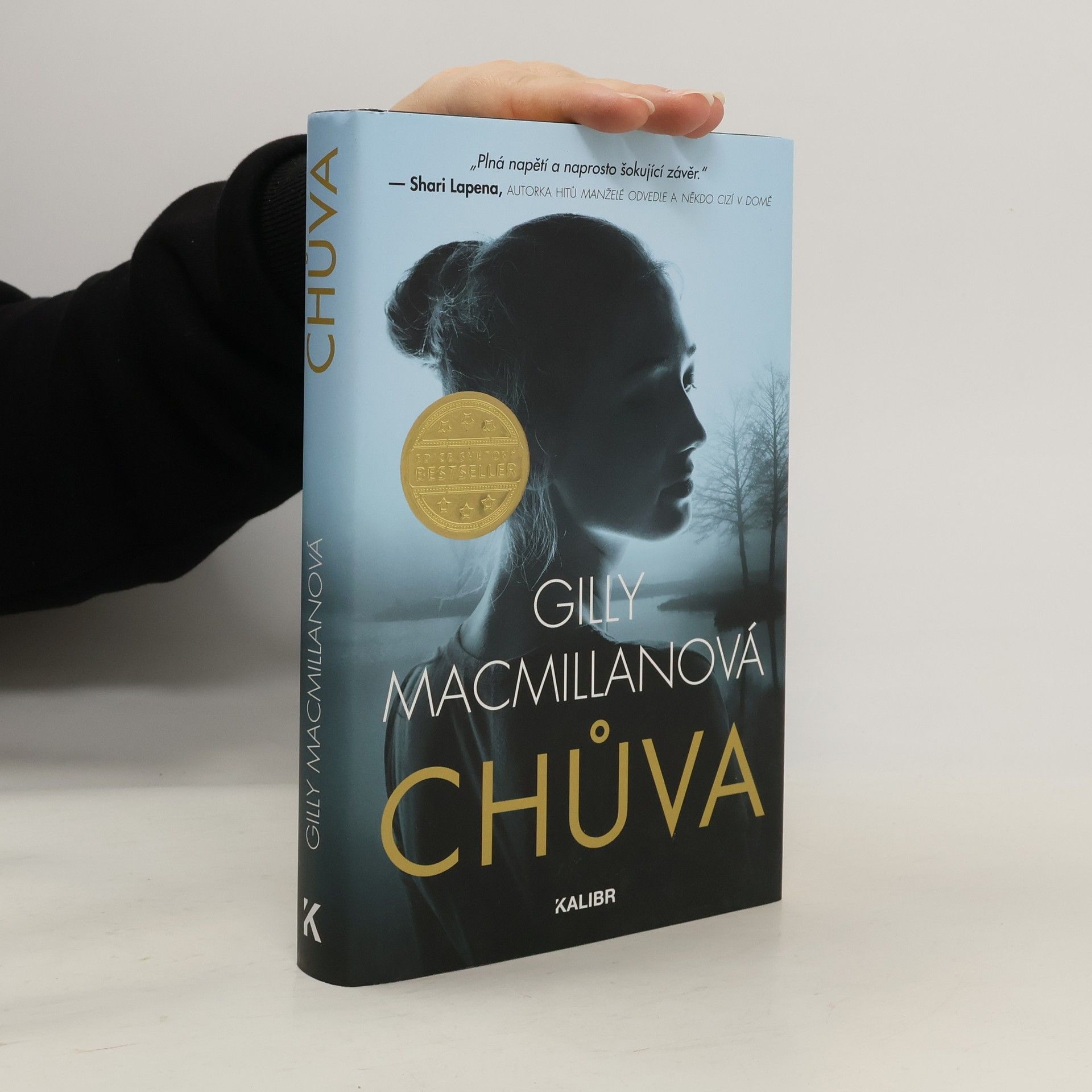 Gilly Macmillan Chůva