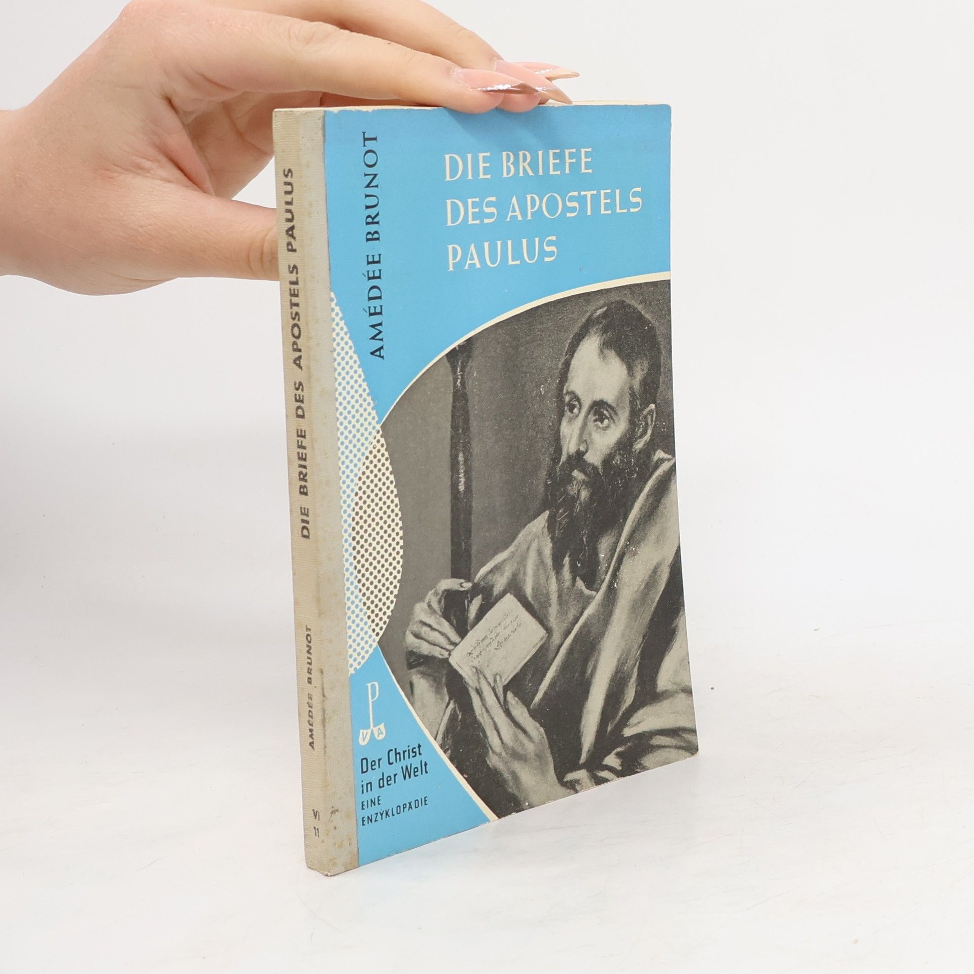 Die Briefe des Apostels Paulus