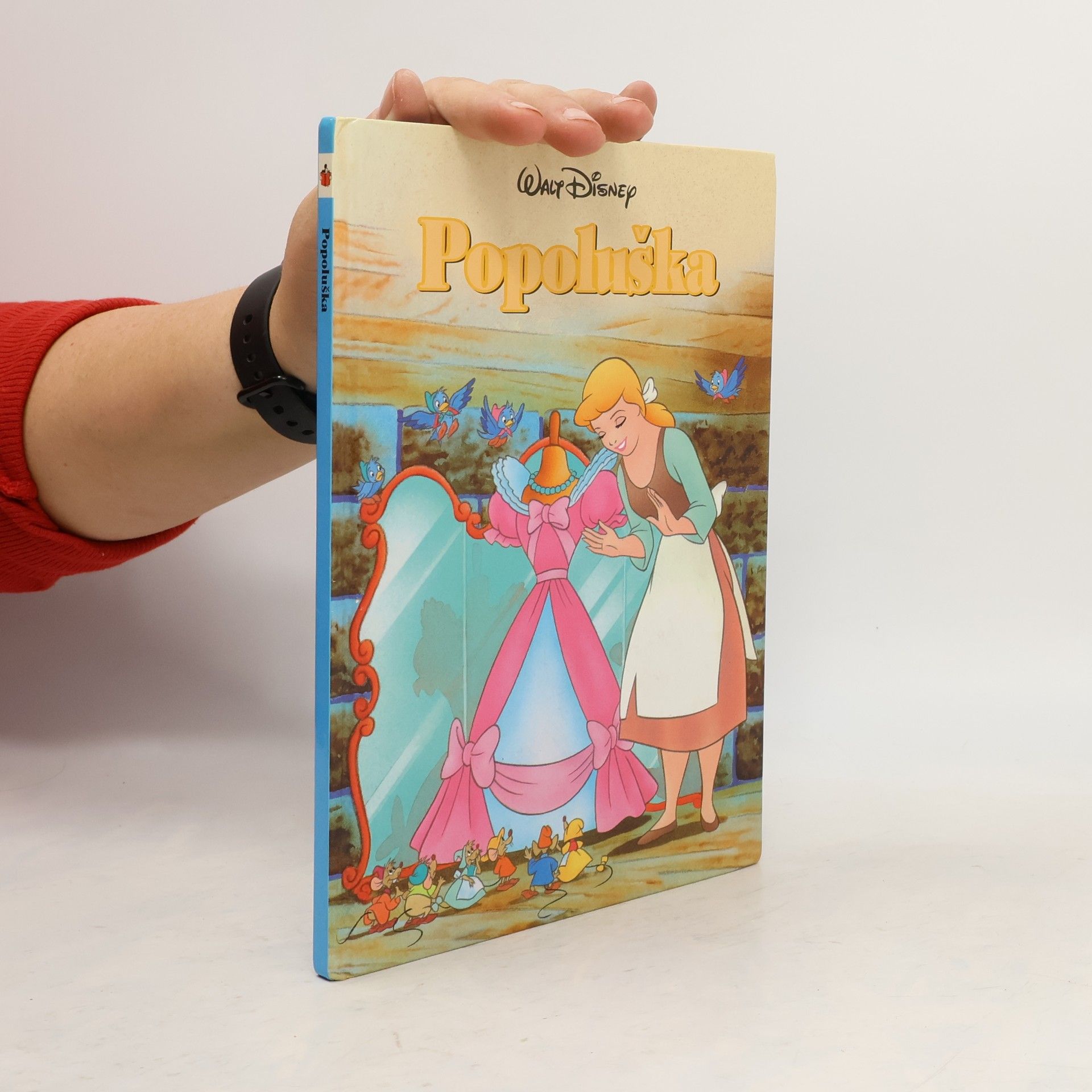 Autores varios Popoluška