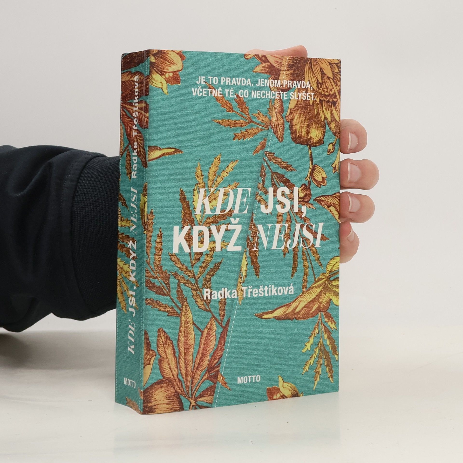 Radka Třeštíková Kde jsi, když nejsi