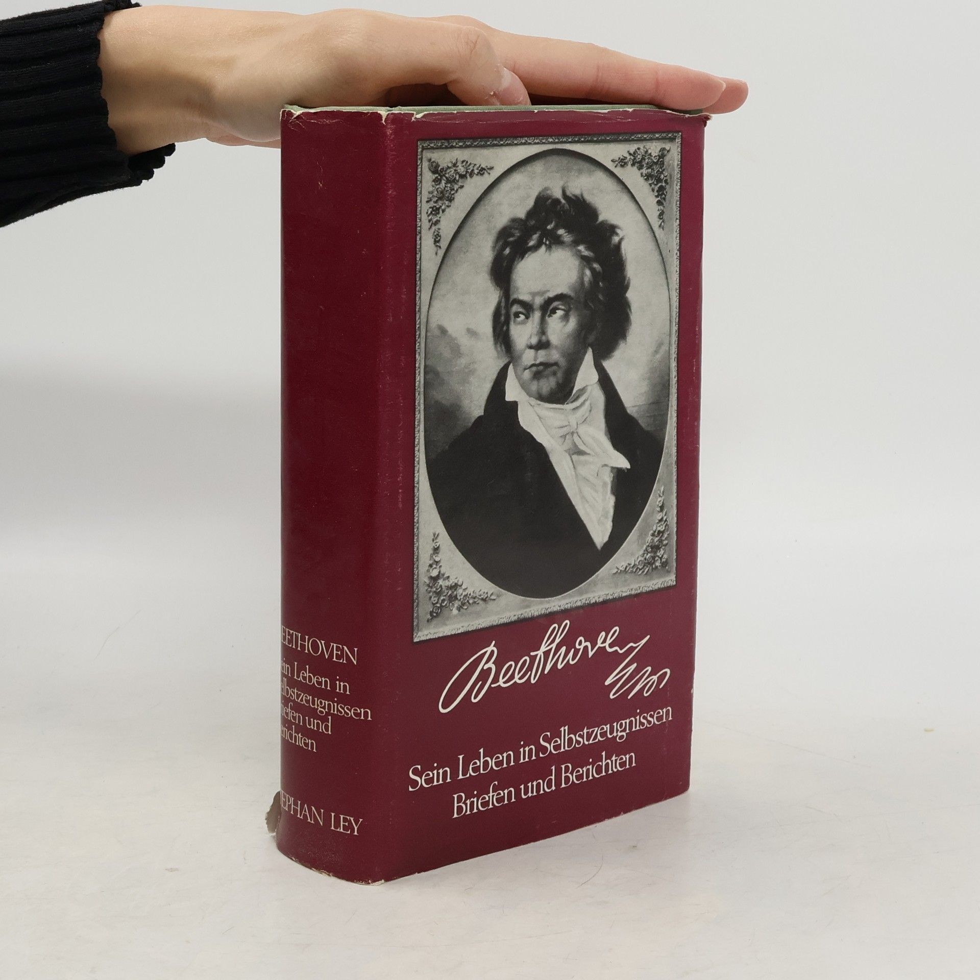 Beethoven. Sein Leben in Selbstzeugnissen Briefen und Berichten