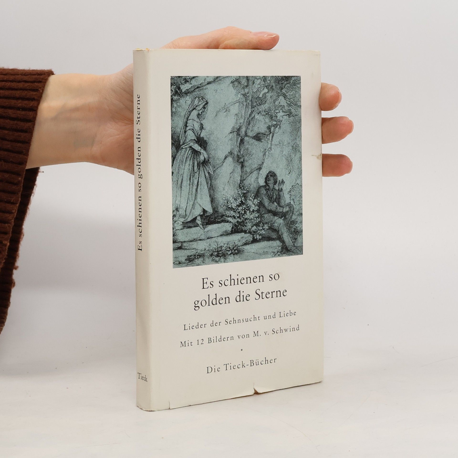 Autorenkollektiv Es schienen so golden die Sterne