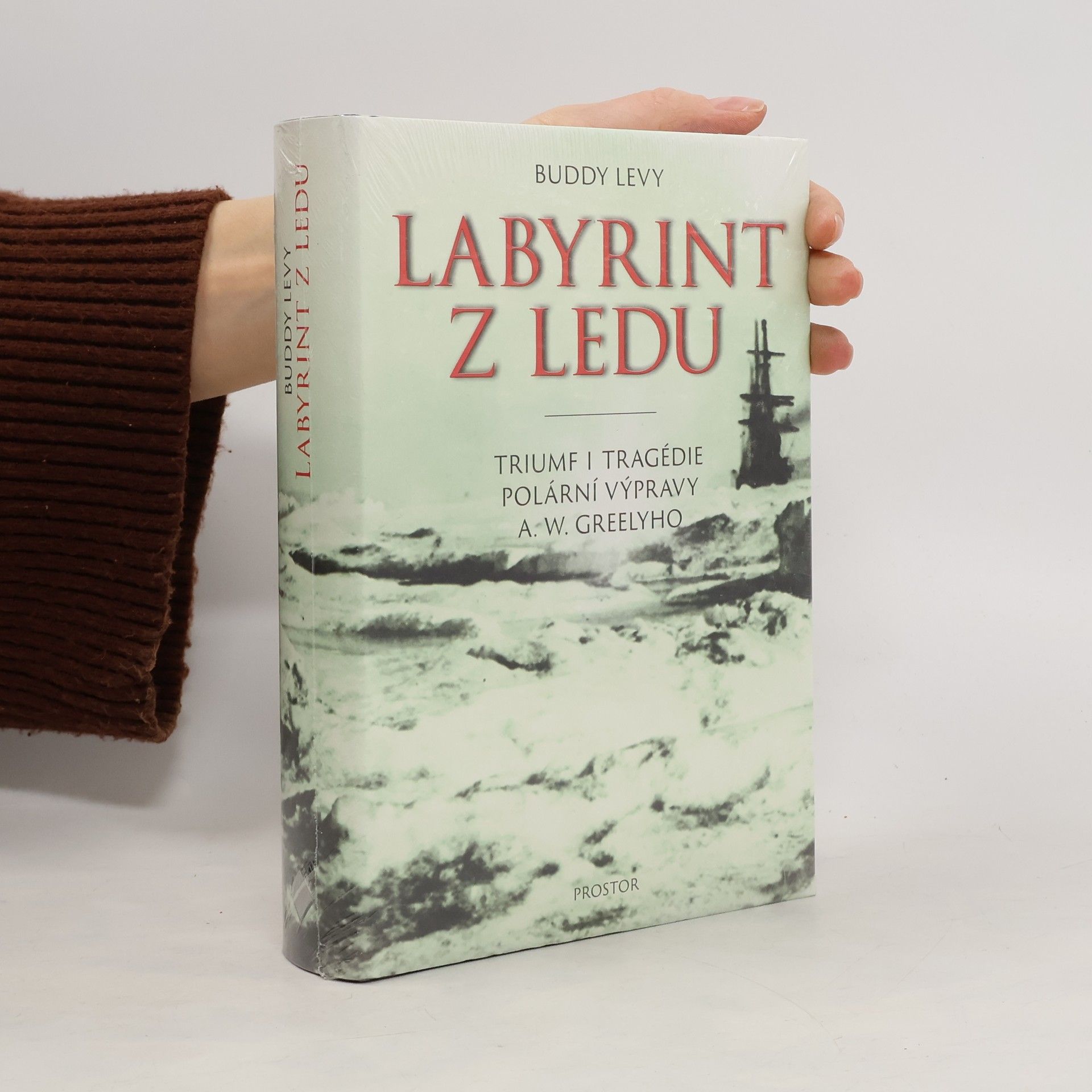 Buddy Levy Labyrint z ledu
