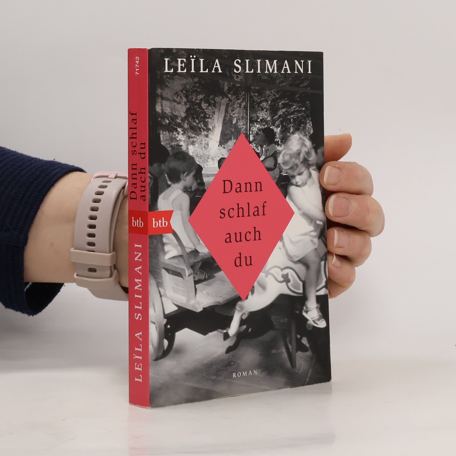 Leila Slimaniová Dann schlaf auch du