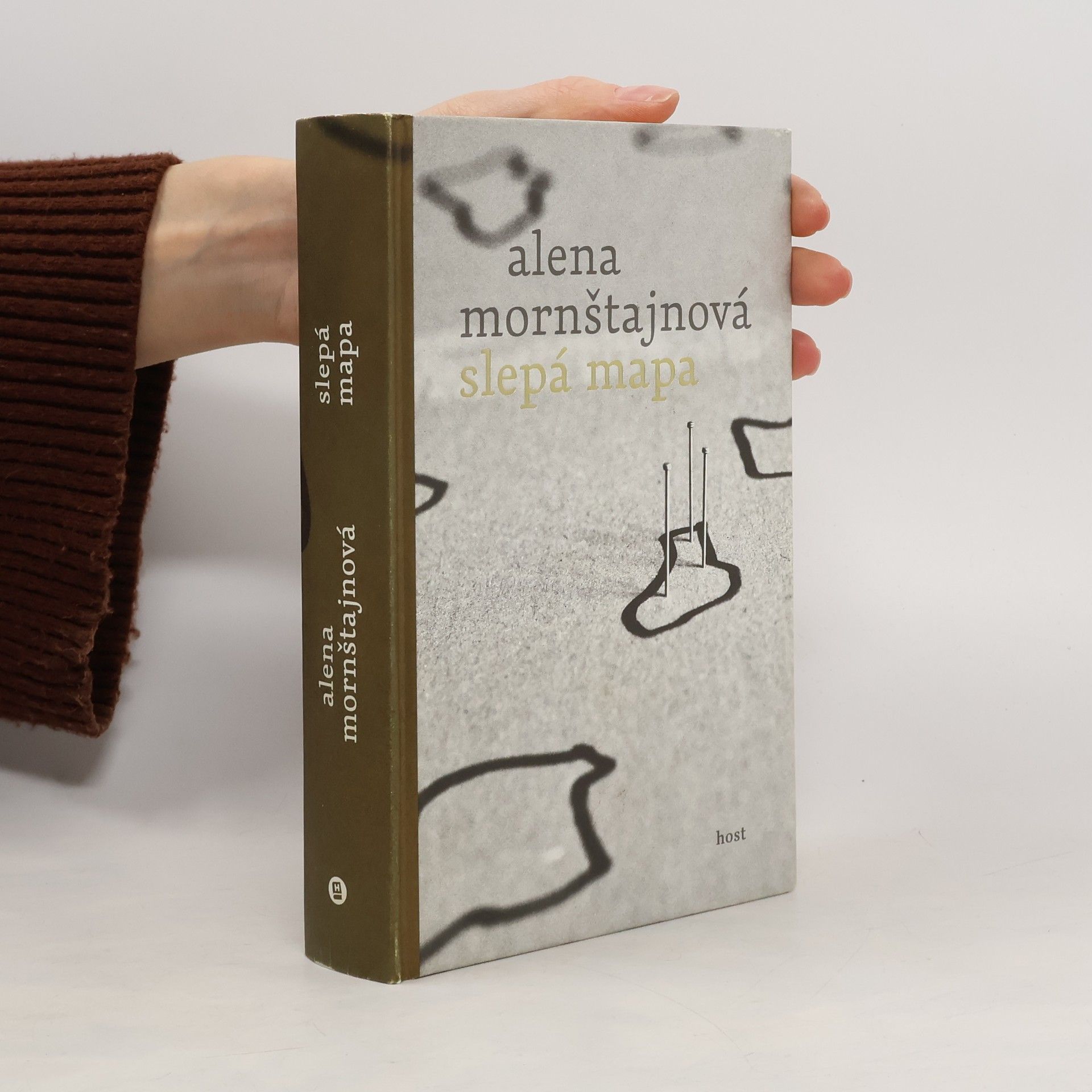 Alena Mornštajnová Slepá mapa
