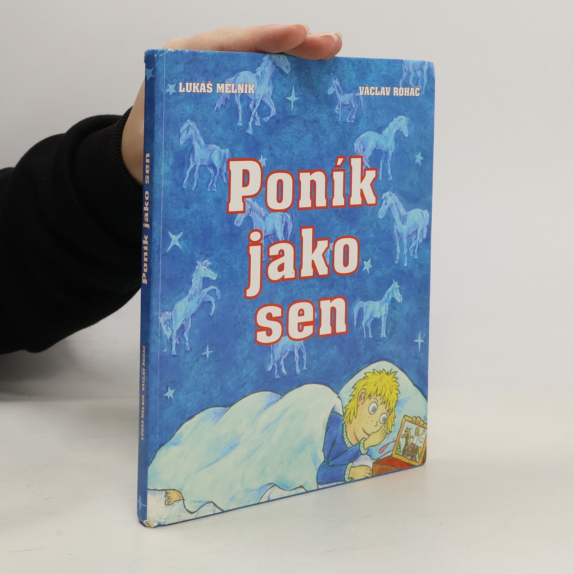 Poník jako sen
