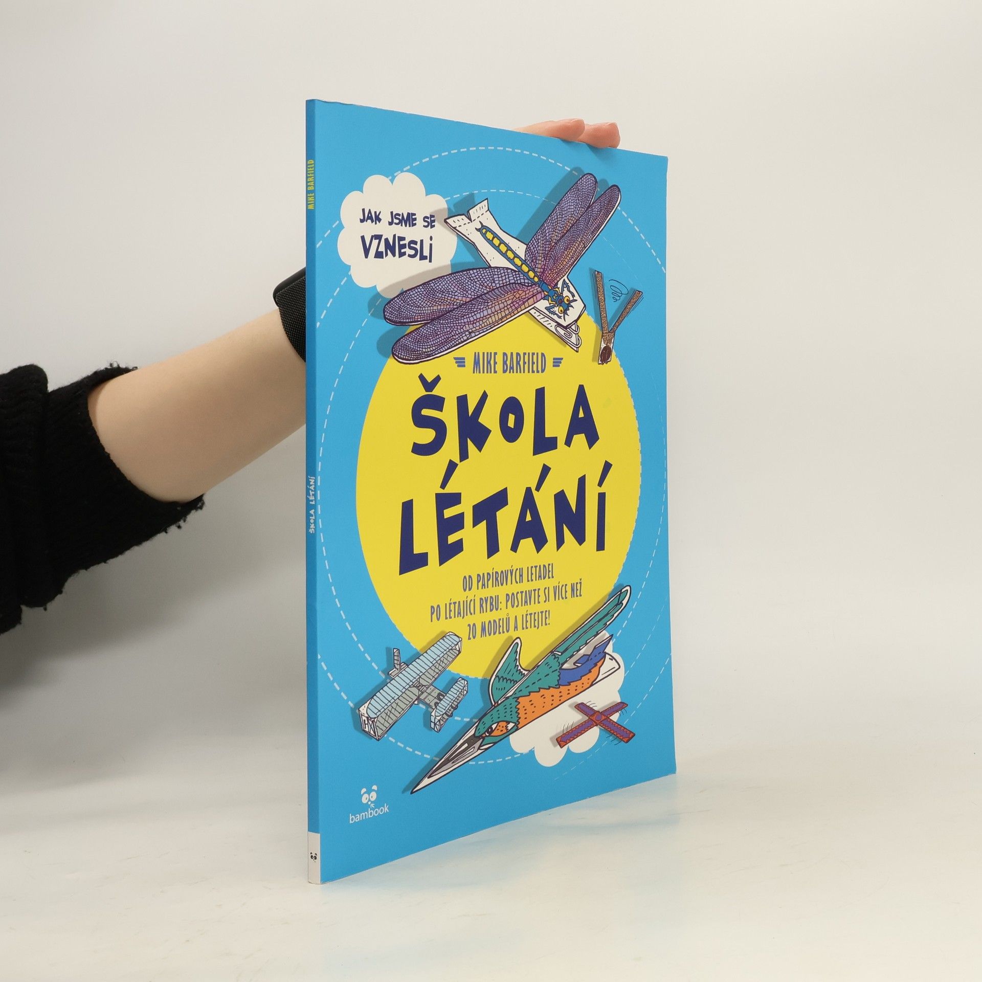 Mike Barfield Škola létání