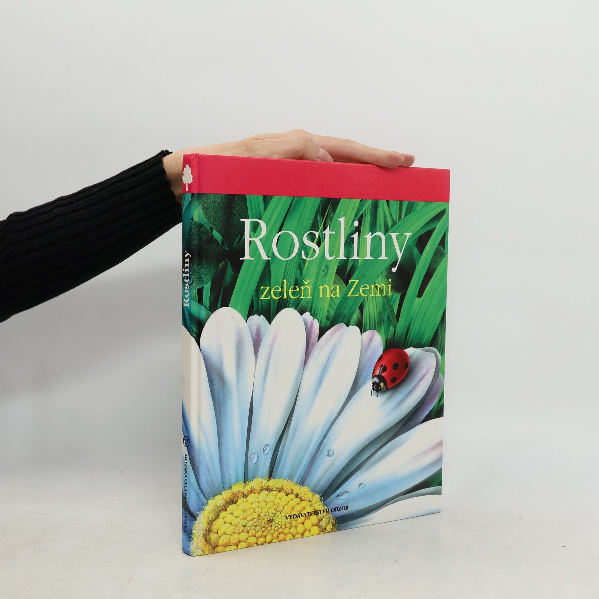 Lucia Benedittiová Rostliny. Zeleň na zemi