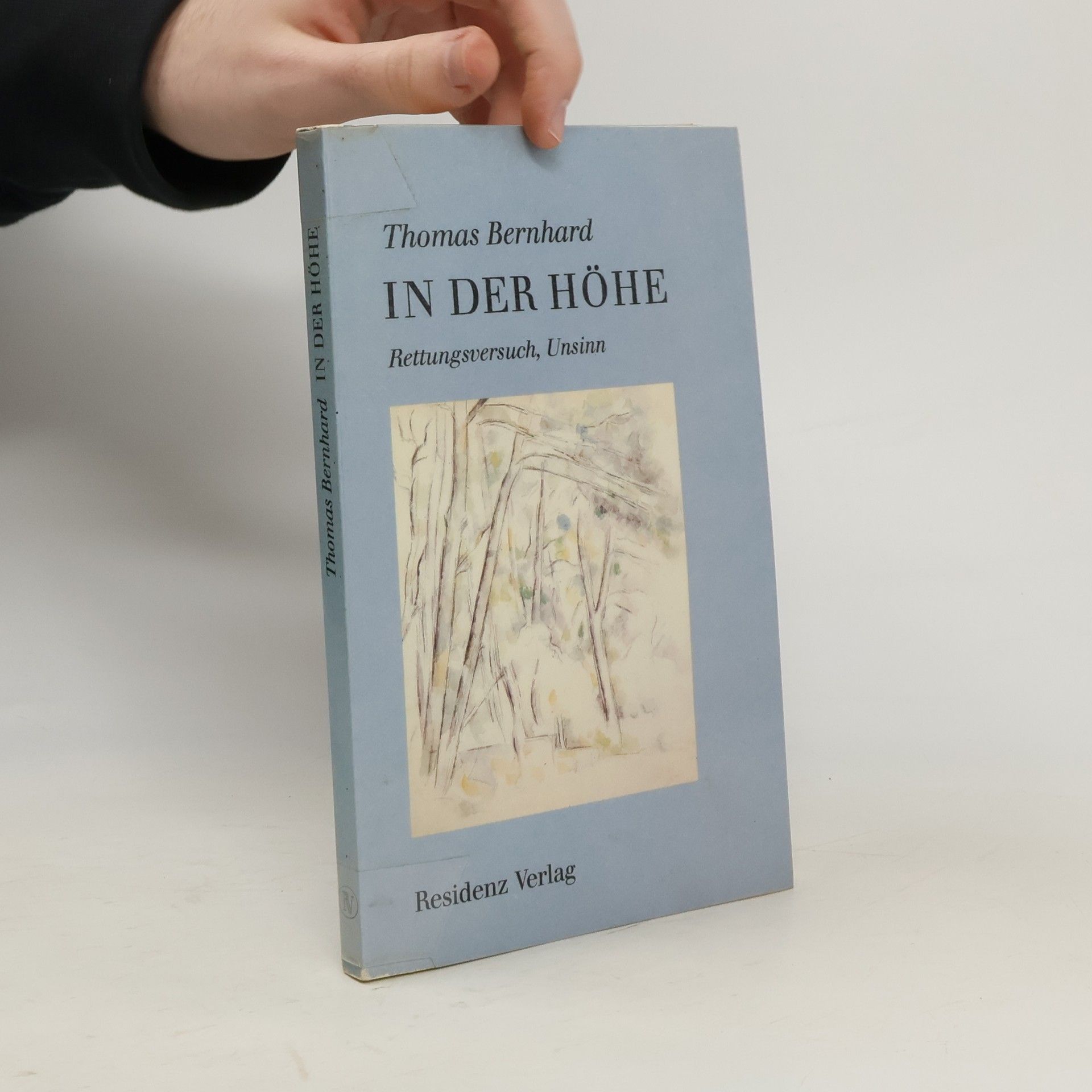 Thomas Bernhard In der Höhe : Rettungsversuch, Unsinn