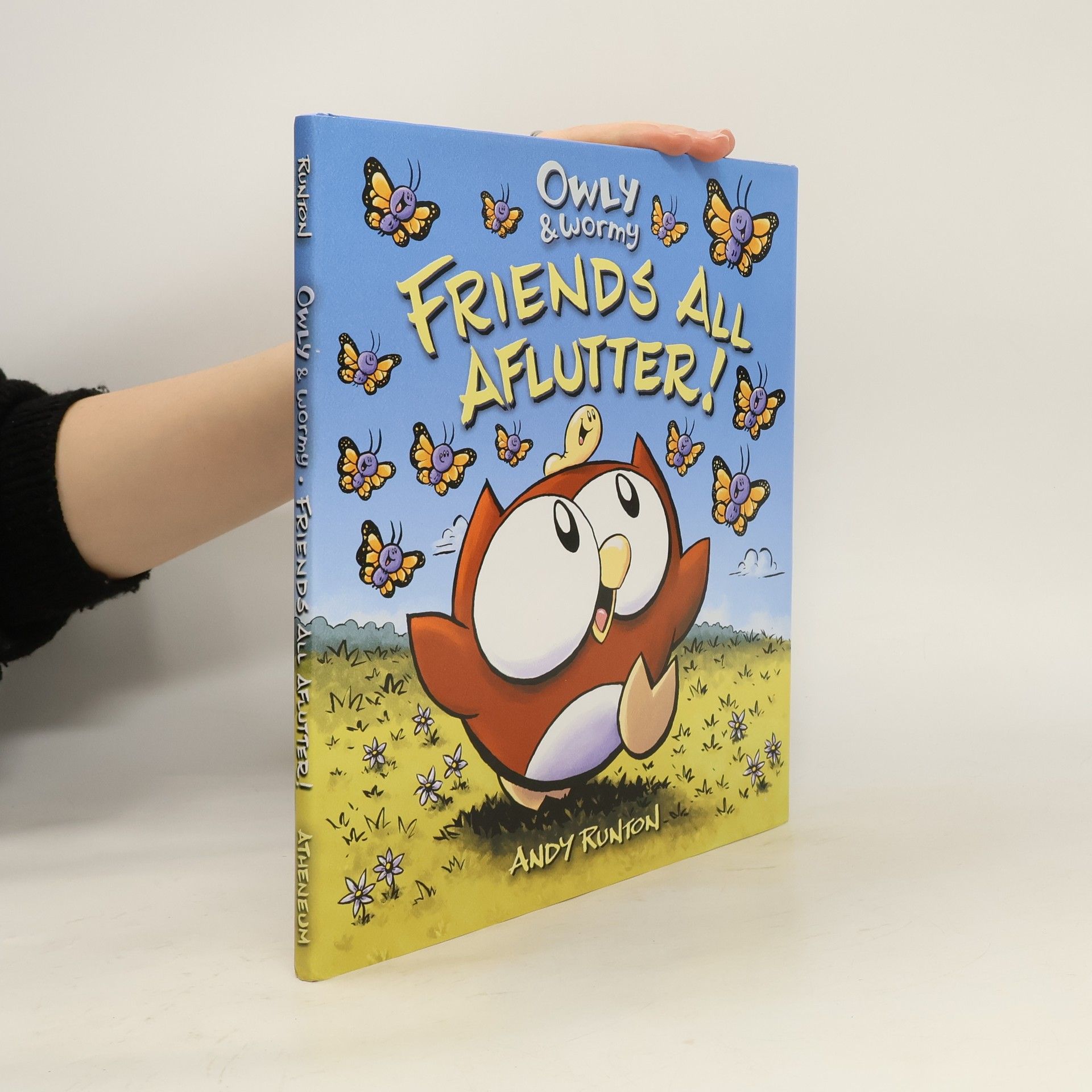 Owly & Wormy, Friends All Aflutter!