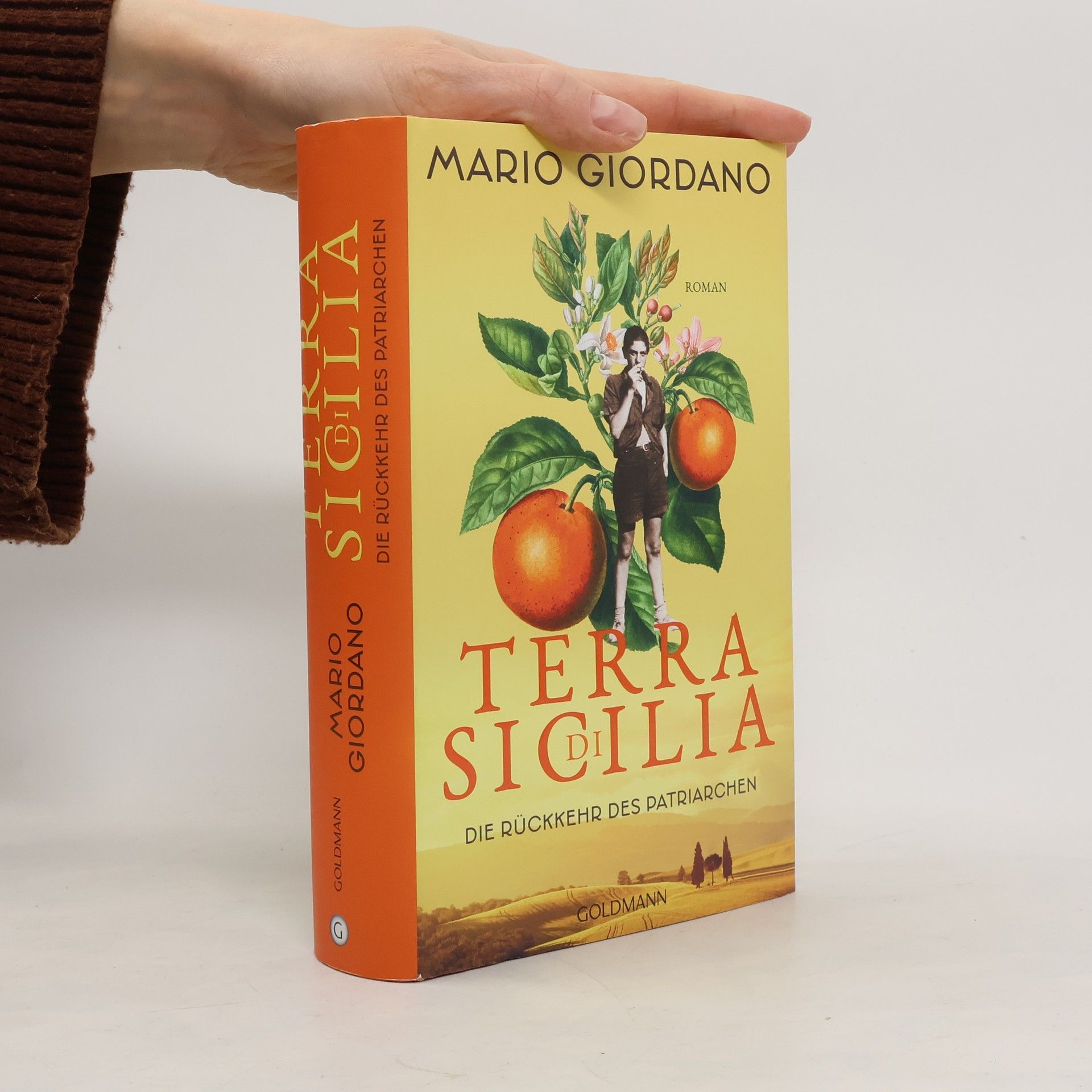 Mario Giordano Terra di Sicilia - die Rückkehr des Patriarchen