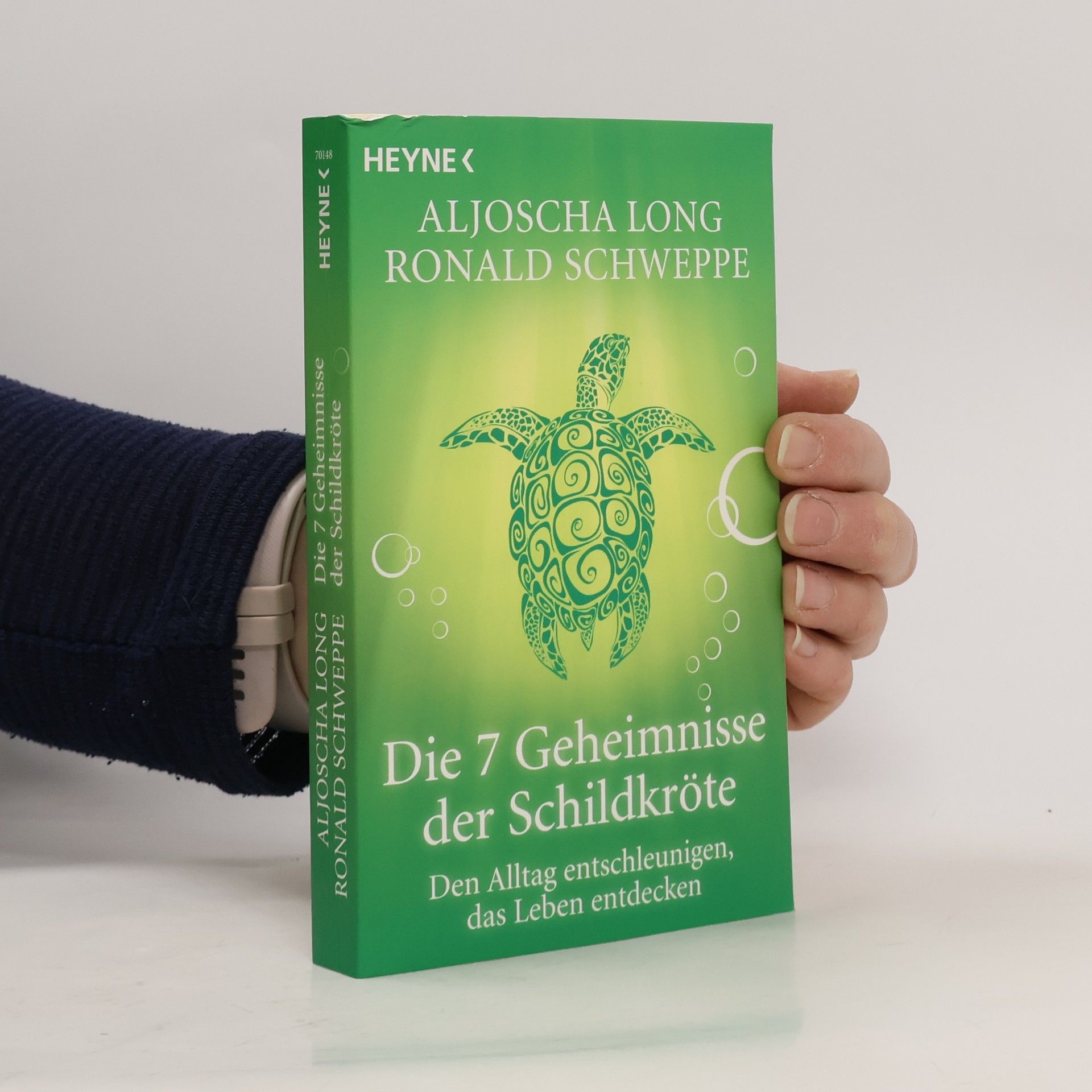 Aljoscha Long Die 7 Geheimnisse der Schildkröte