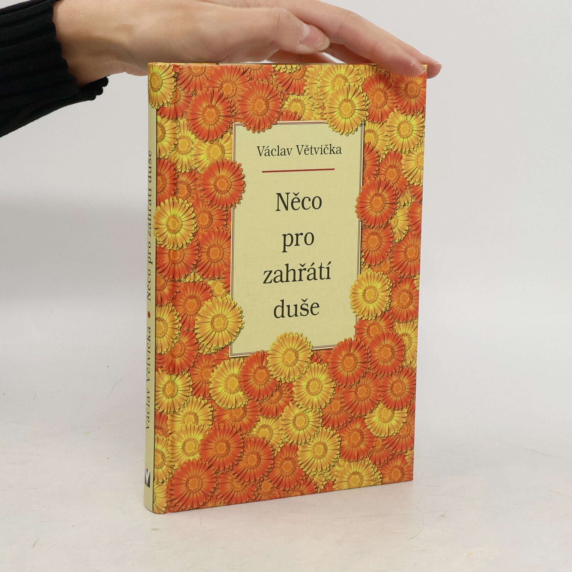 Václav Větvička Něco pro zahřátí duše