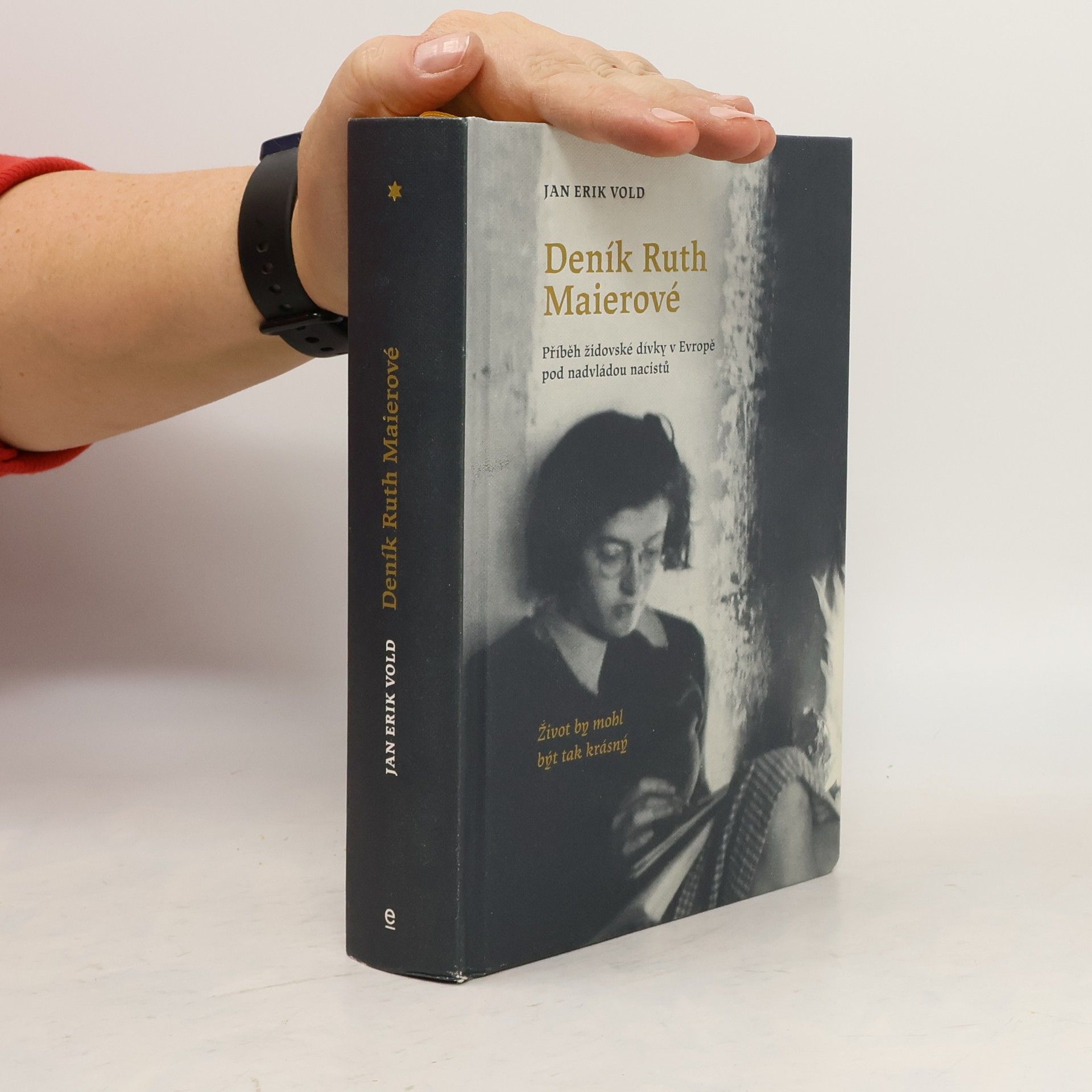 Jan Erik Vold Deník Ruth Maierové