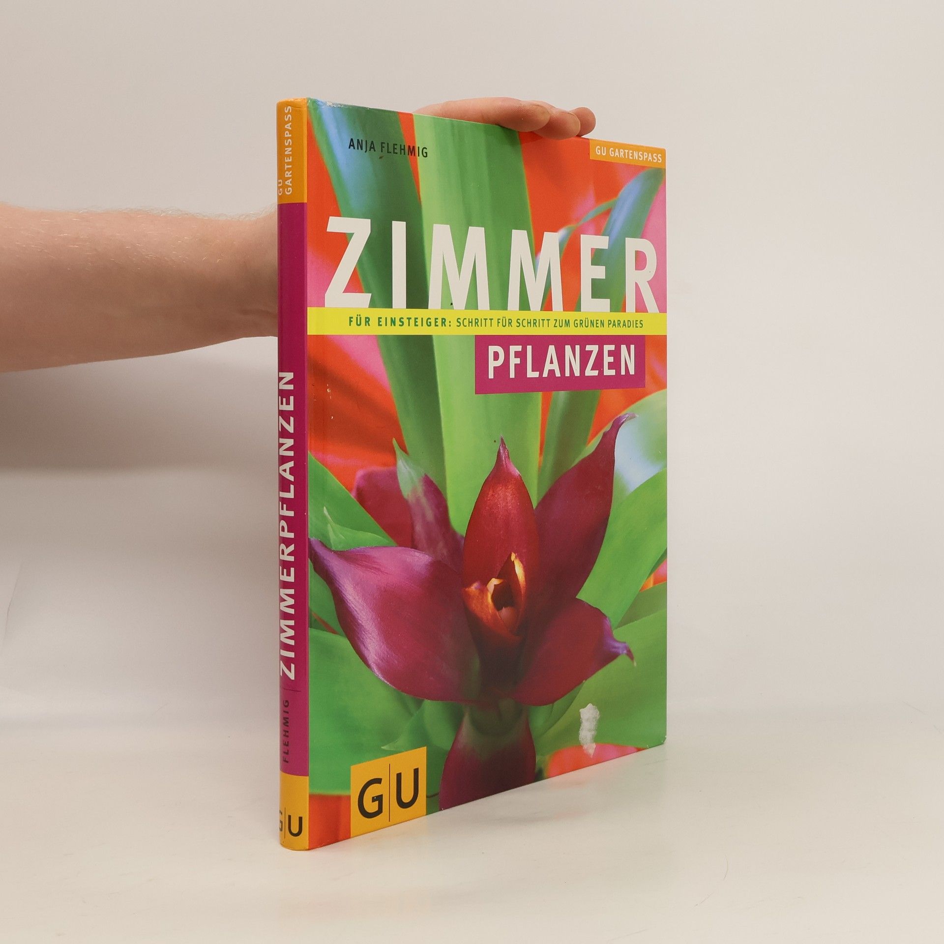 Anja Flehmig Zimmer-Pflanzen für Einsteiger