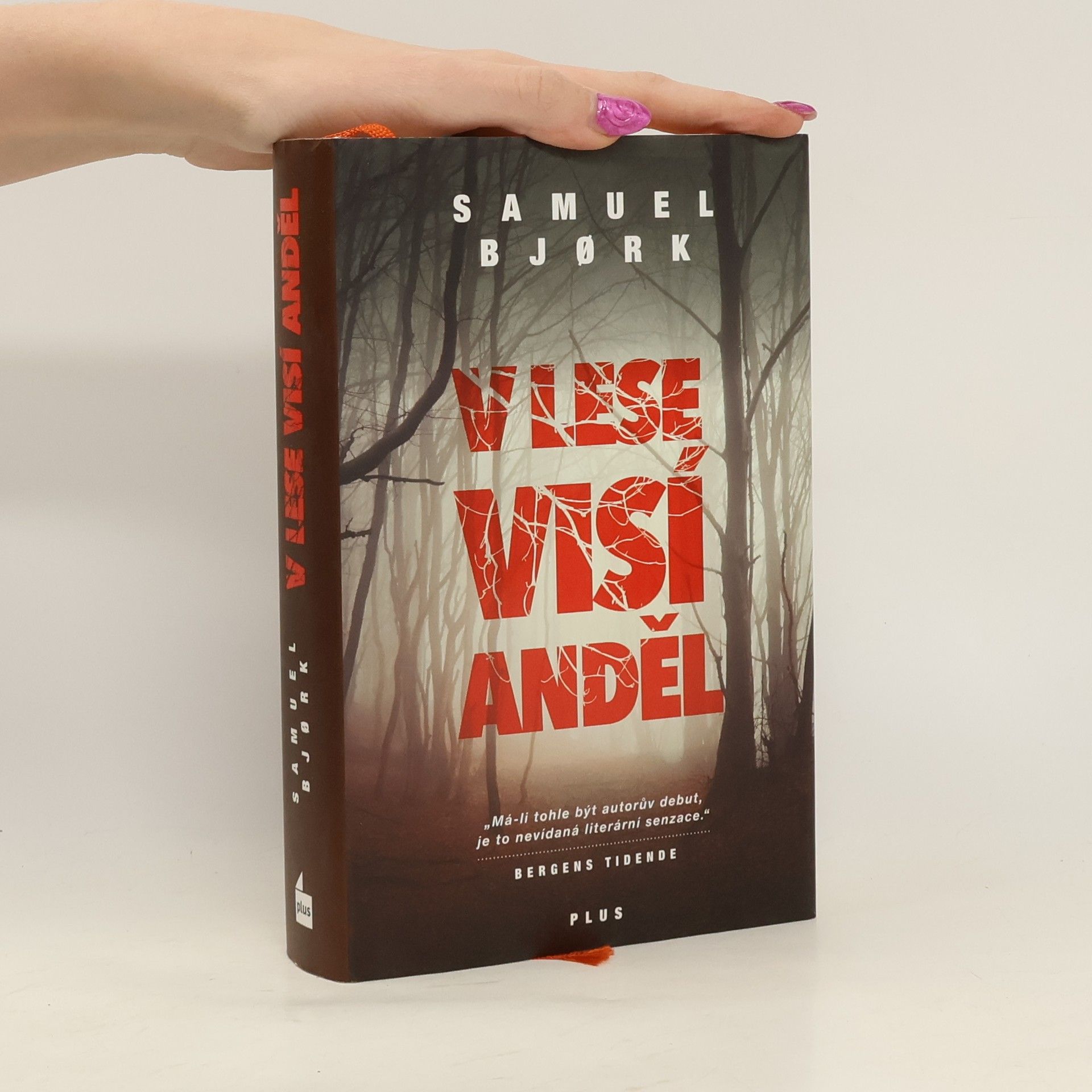 Samuel Bjork V lese visí anděl