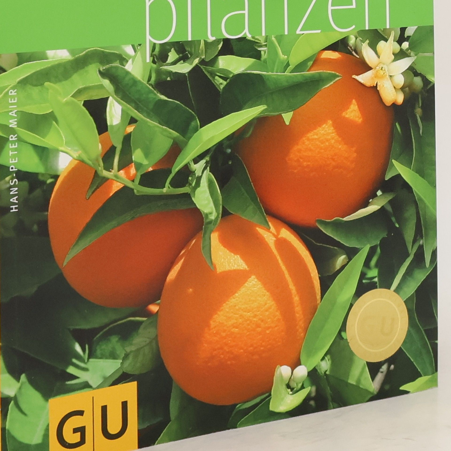 Hans Peter Maier Zitruspflanzen
