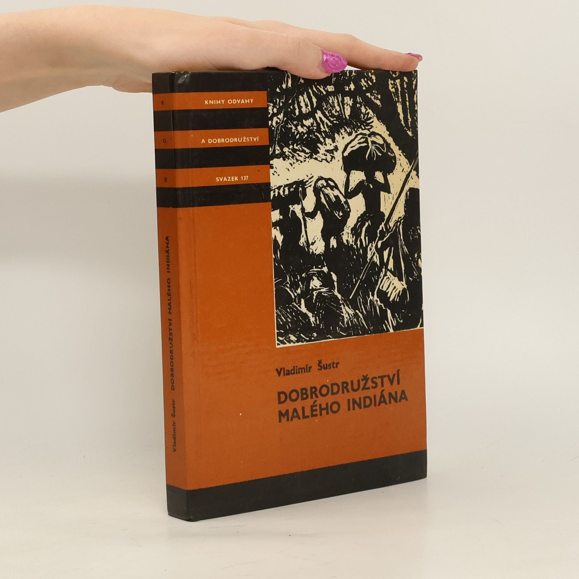 Dobrodružství malého indiána