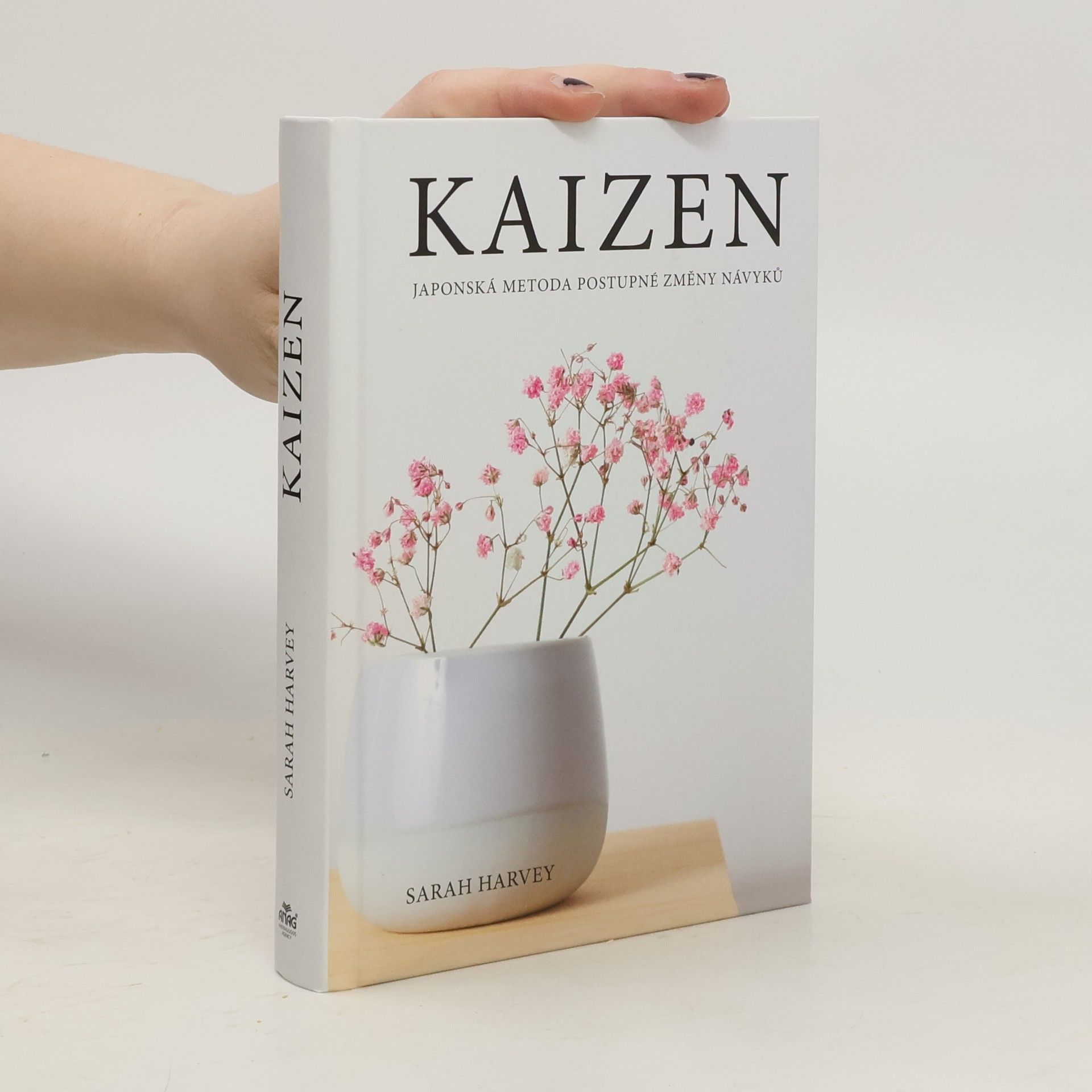 Kaizen: Japonská metoda postupné změny návyků