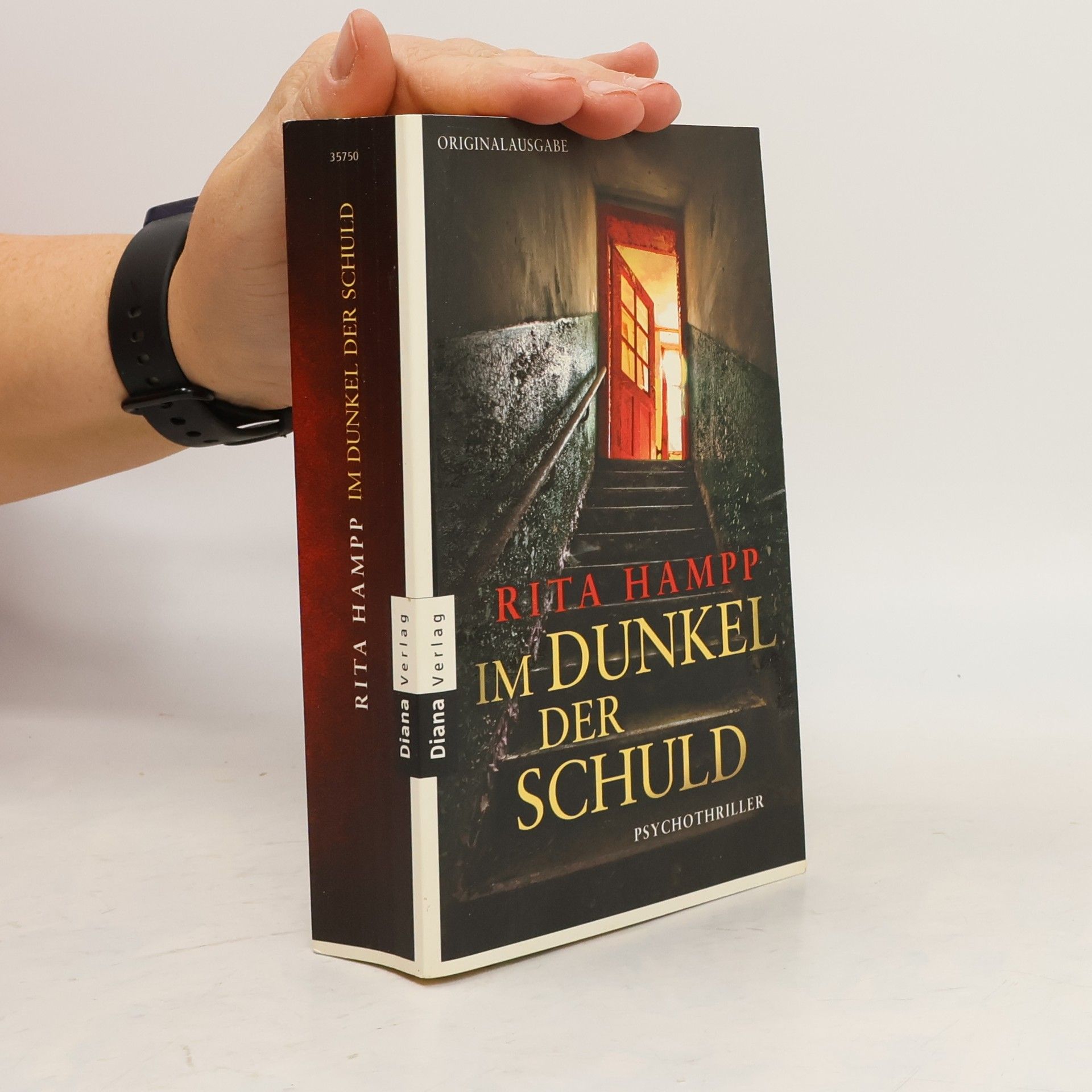 Rita Hampp Im Dunkel der Schuld