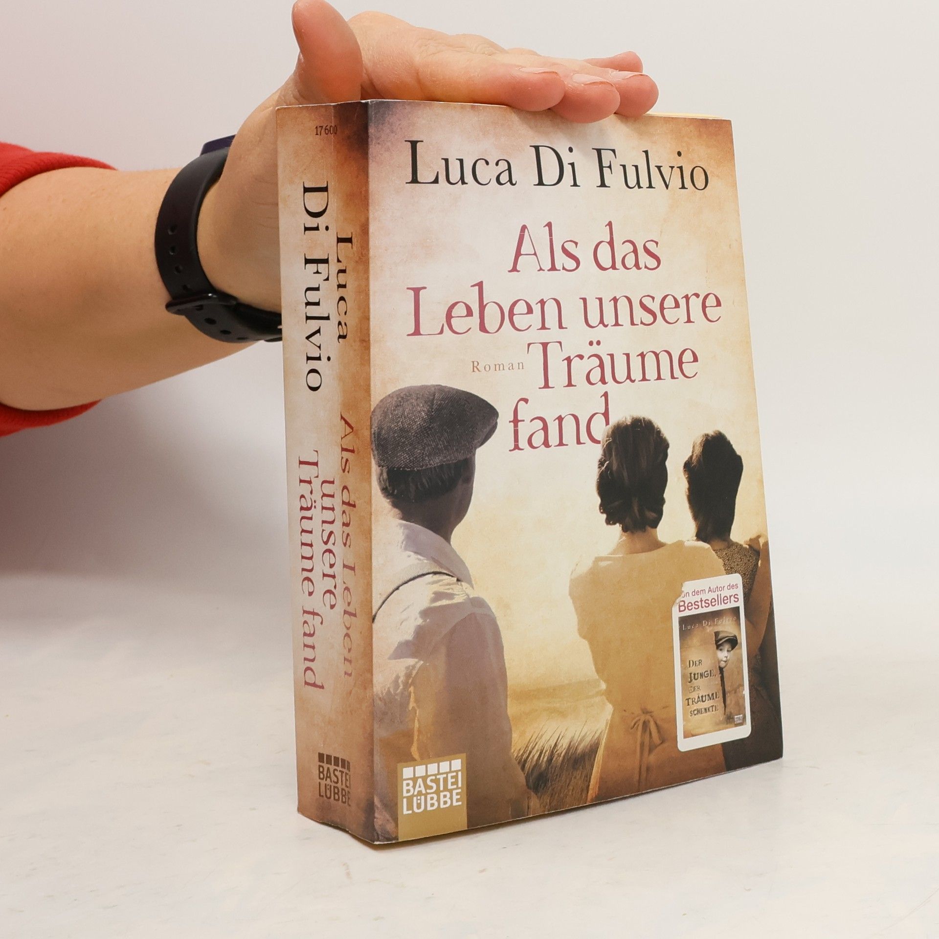 Luca Di Fulvio Als das Leben unsere Träume fand