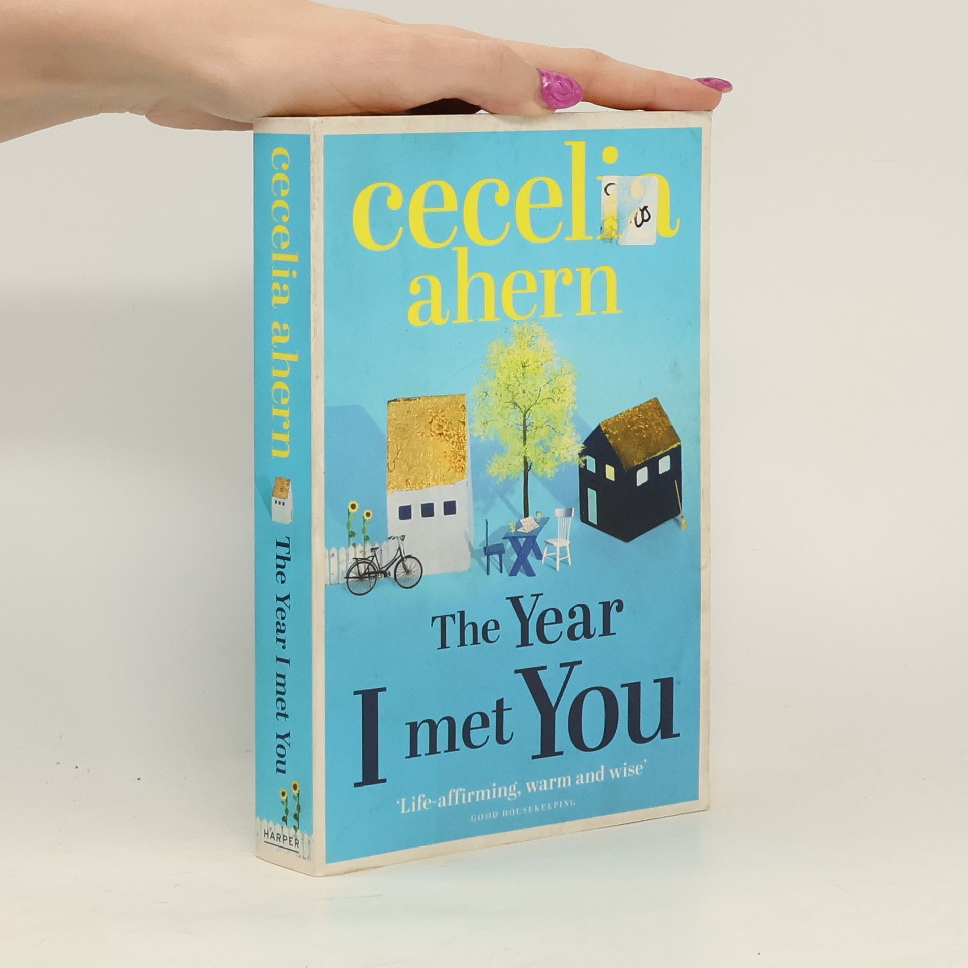 Cecelia Ahern The Year I Met You