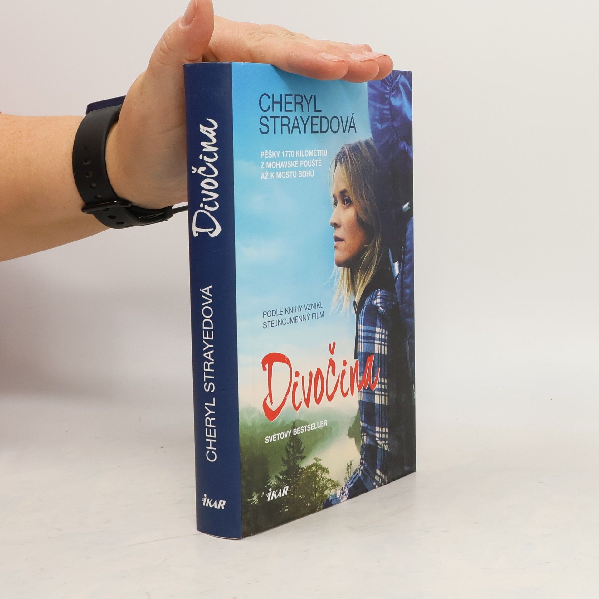 Cheryl Strayed Divočina. Pěšky 1770 kilometrů z Mohavské pouště až k mostu bohů