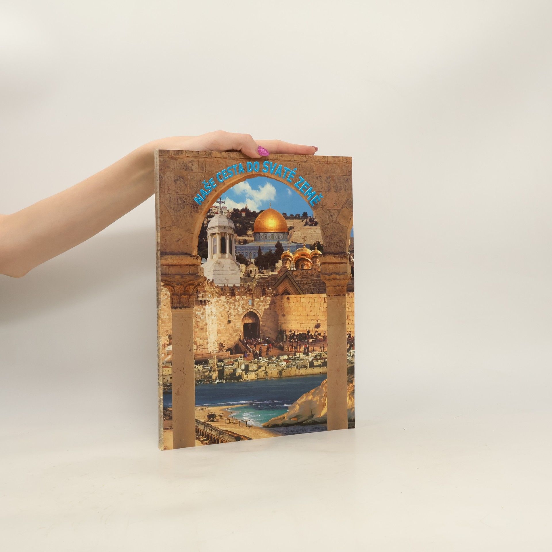 Various authors Naše cesta do Svaté země