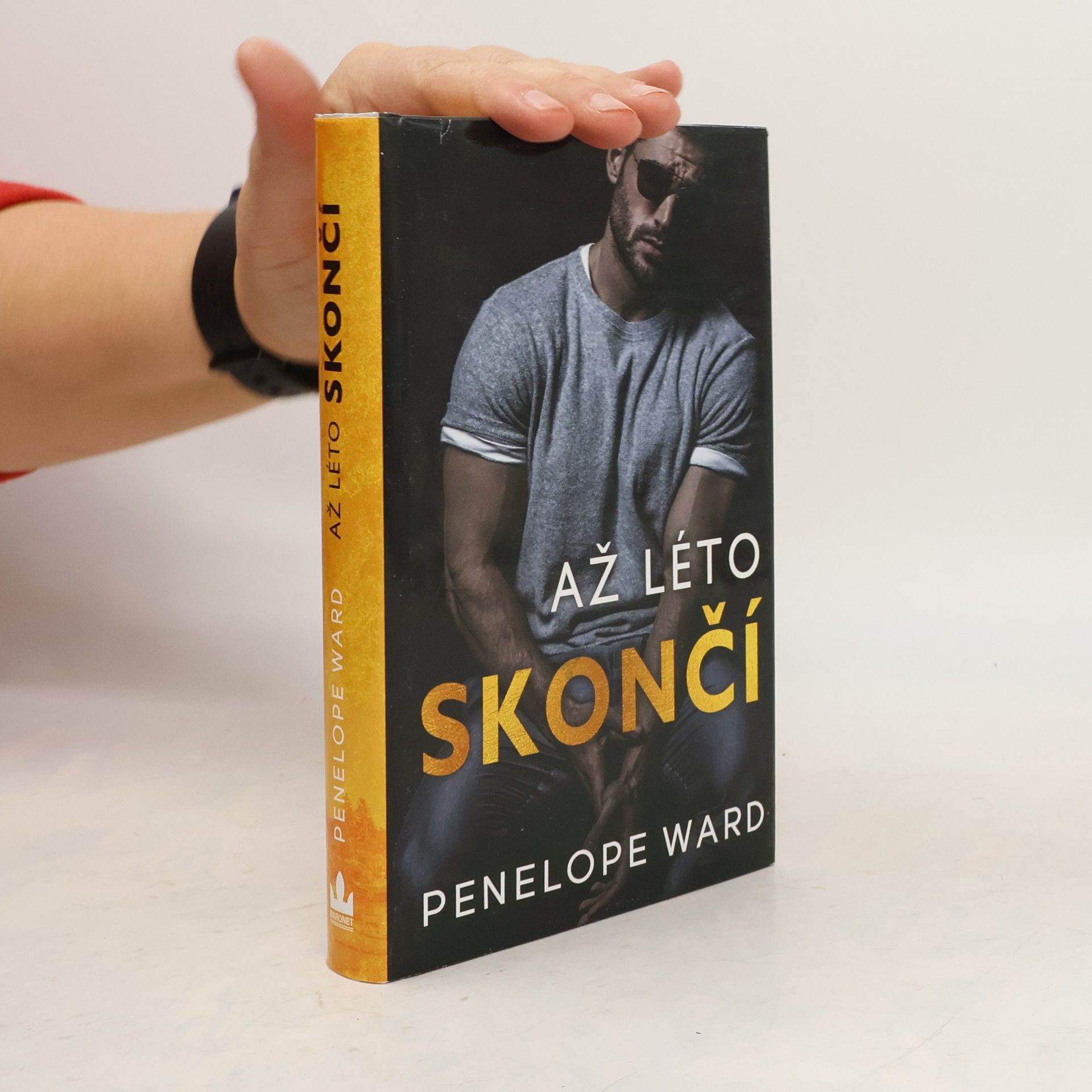 Penelope Ward Až léto skončí