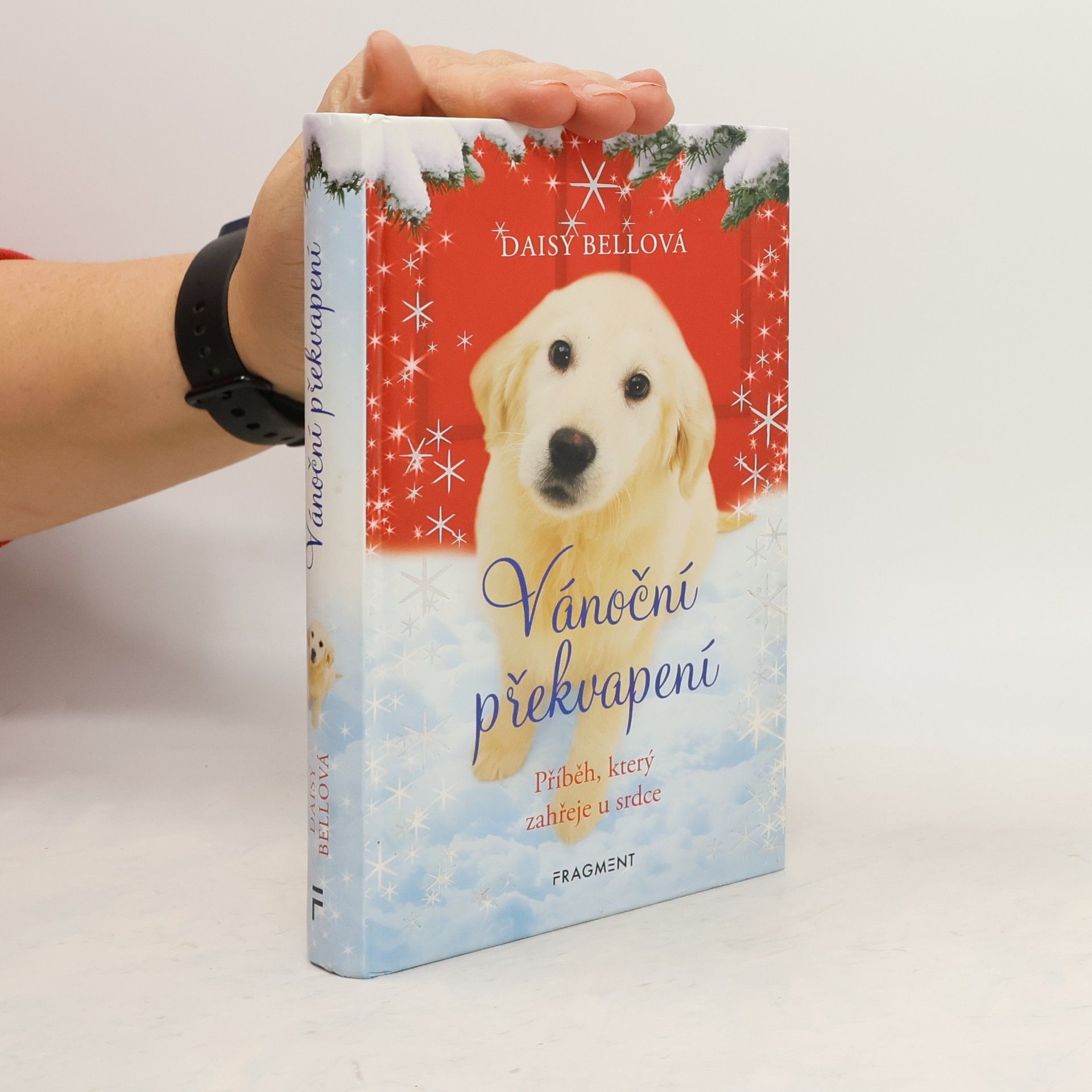 Daisy Bell Vánoční překvapení