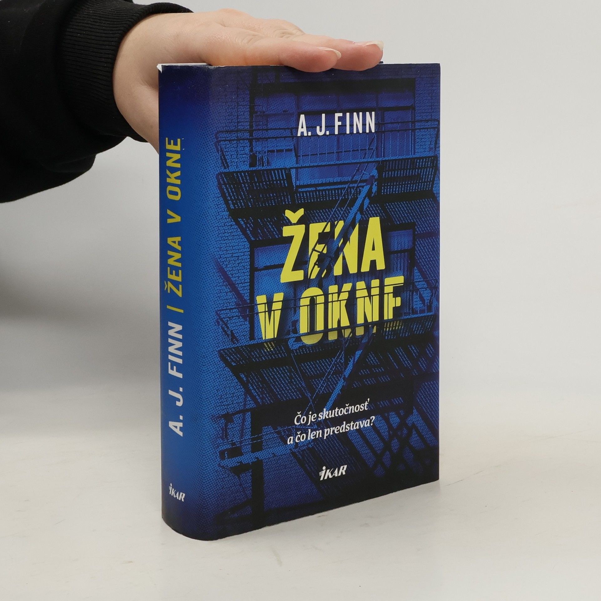 Daniel Mallory Žena v okne