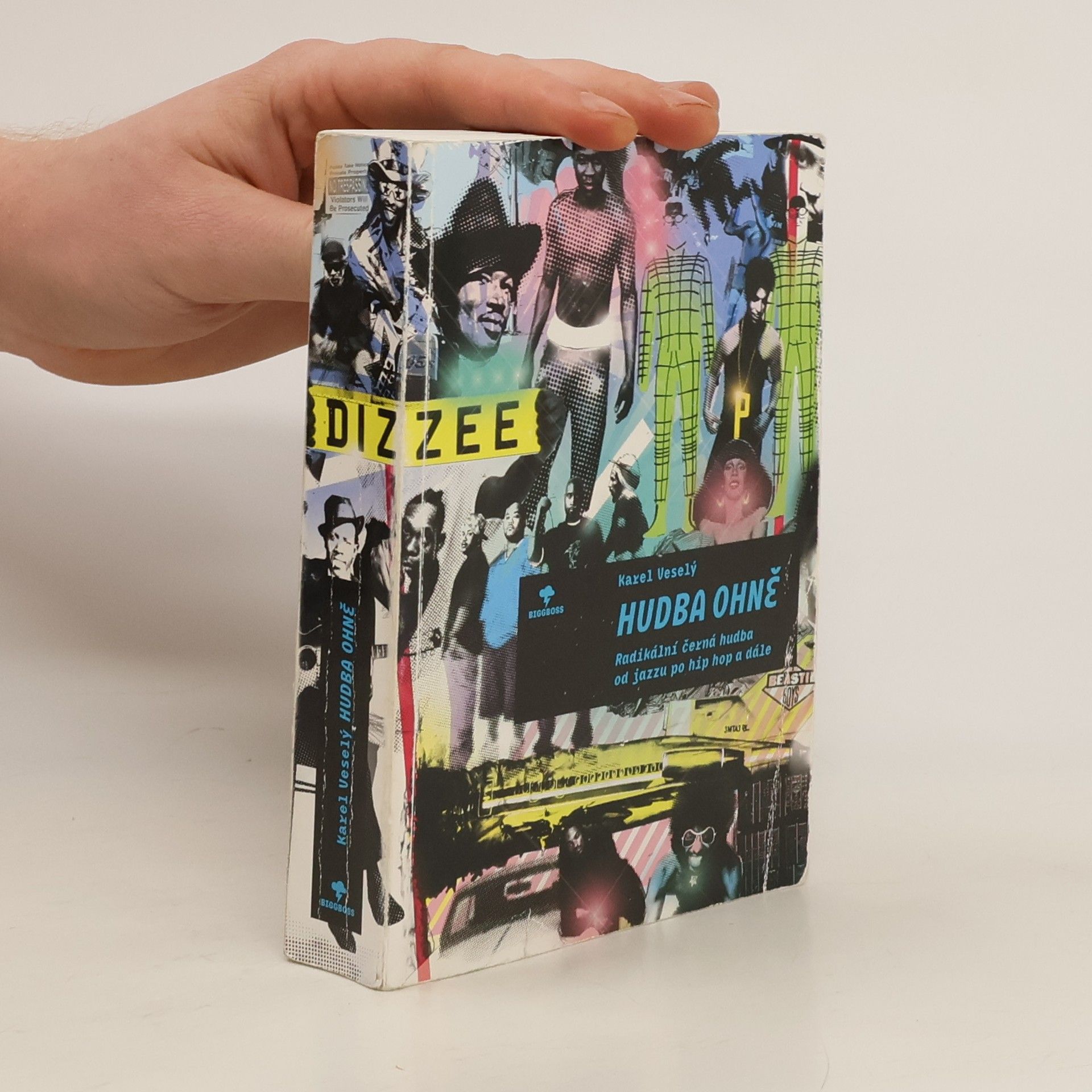 Karel Veselý Hudba ohně : radikální černá hudba od jazzu po hip hop a dále