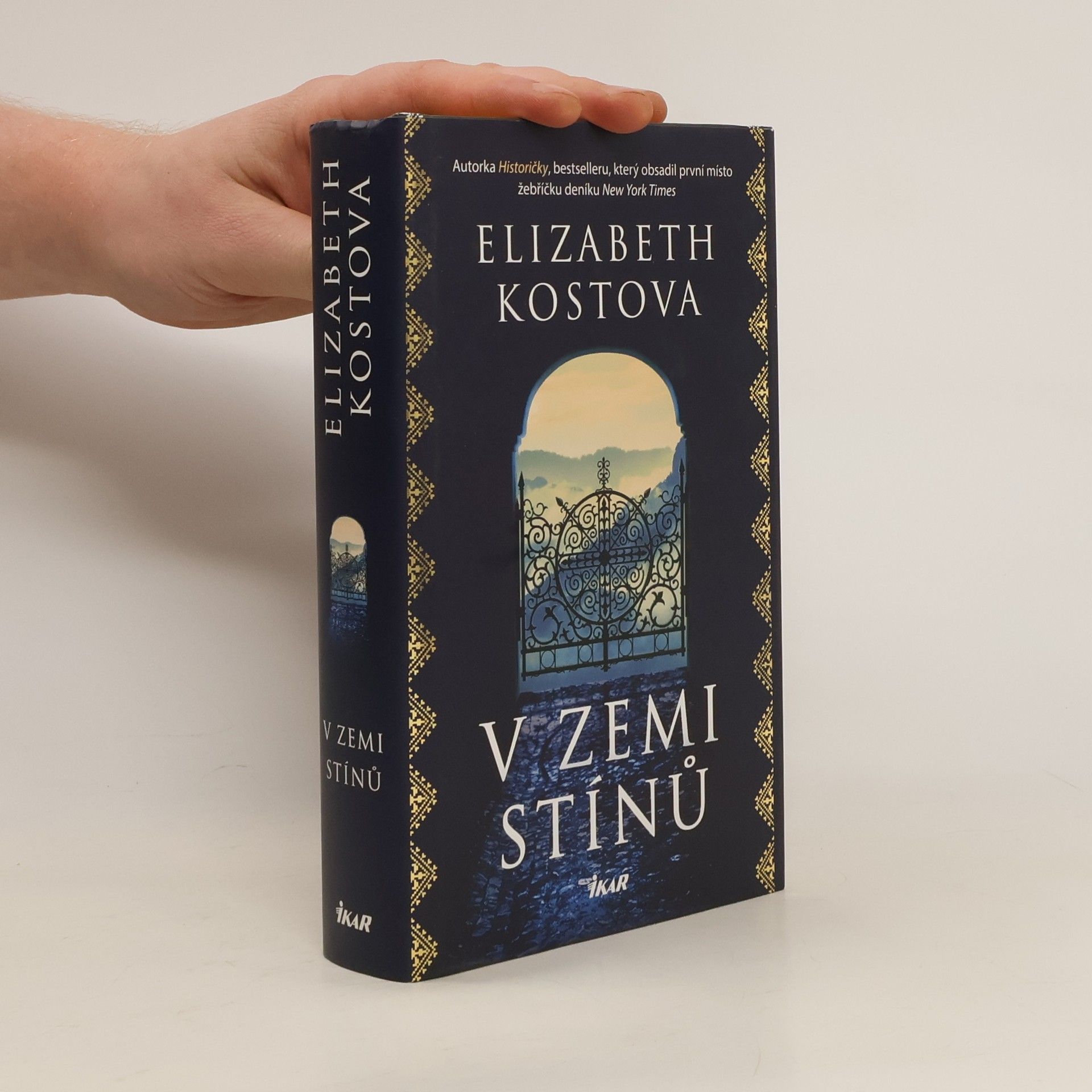 Elizabeth Kostova V zemi stínů