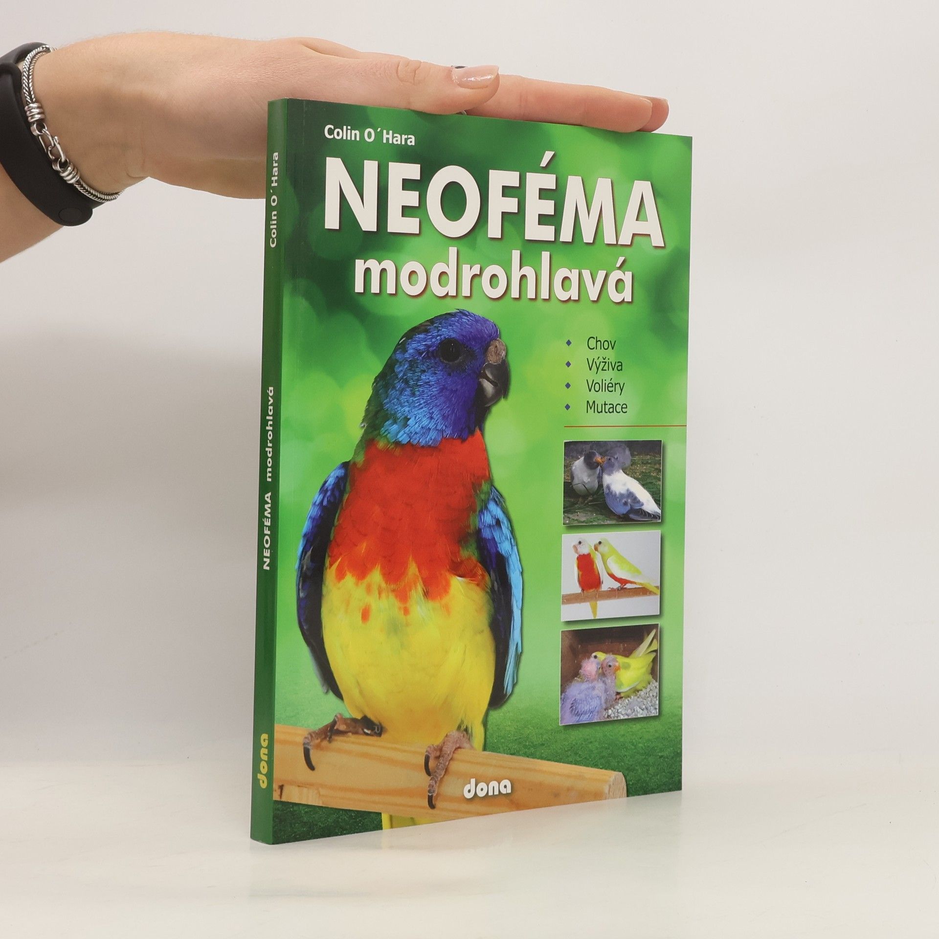 Neoféma modrohlavá