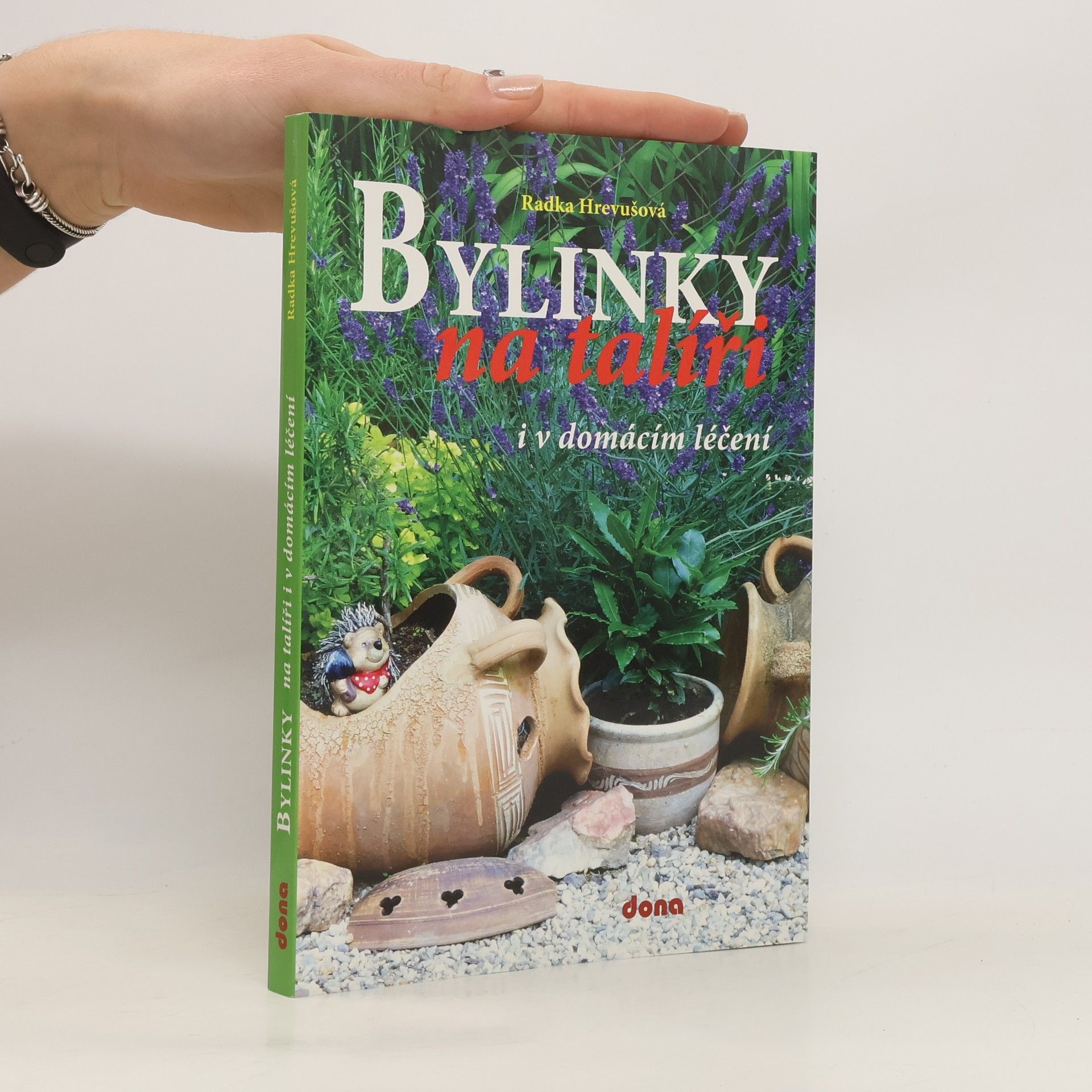 Bylinky na talíři i v domácím léčení