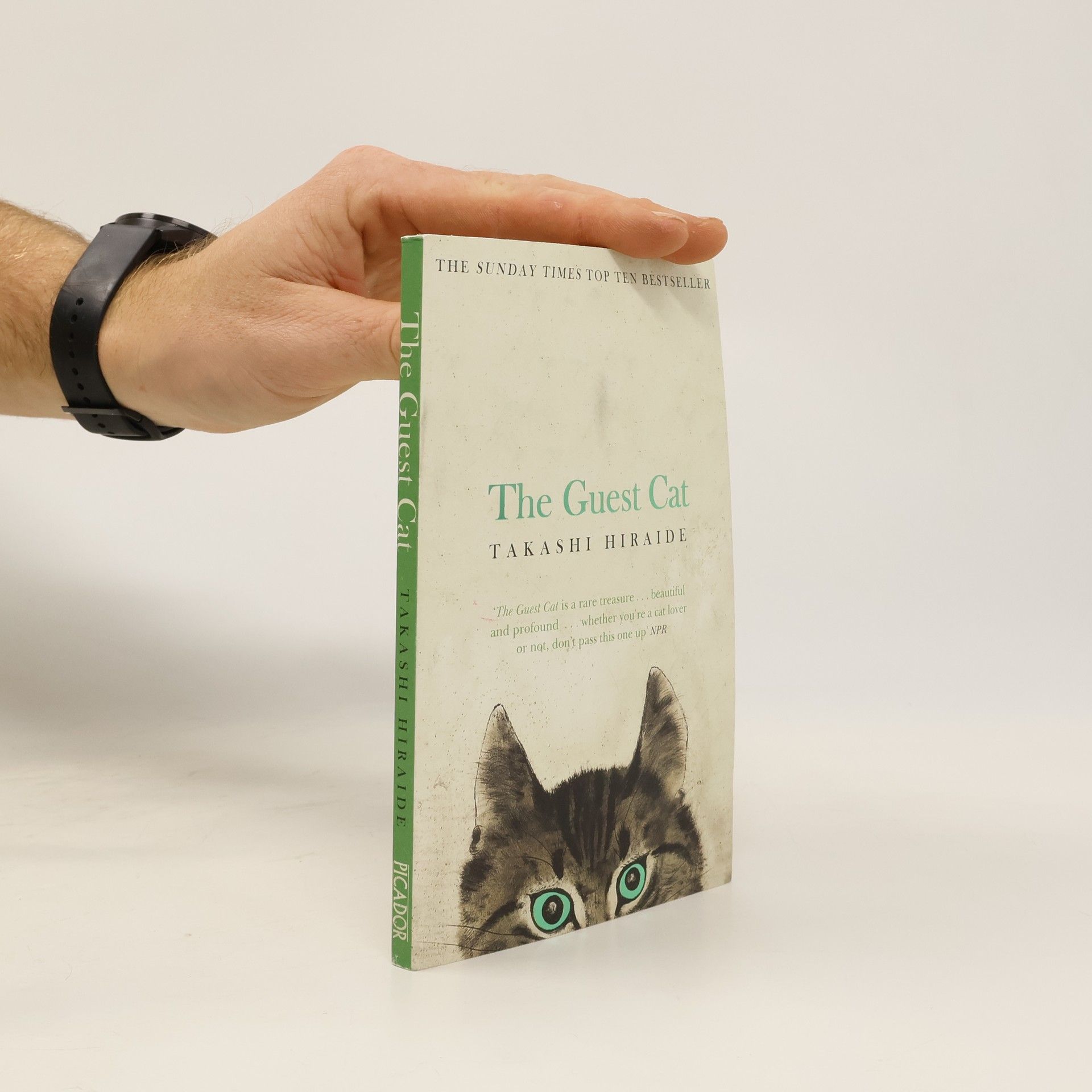 Takashi Hiraide The guest cat