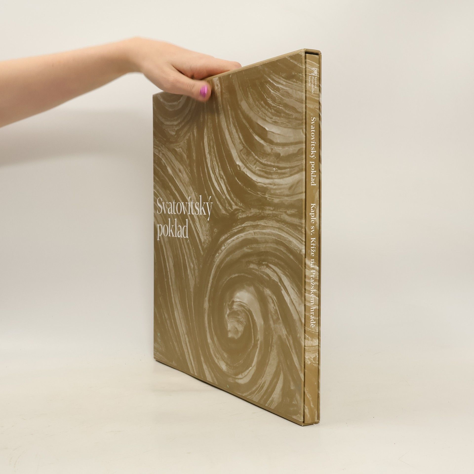 Ivana Kyzourová Svatovítský poklad