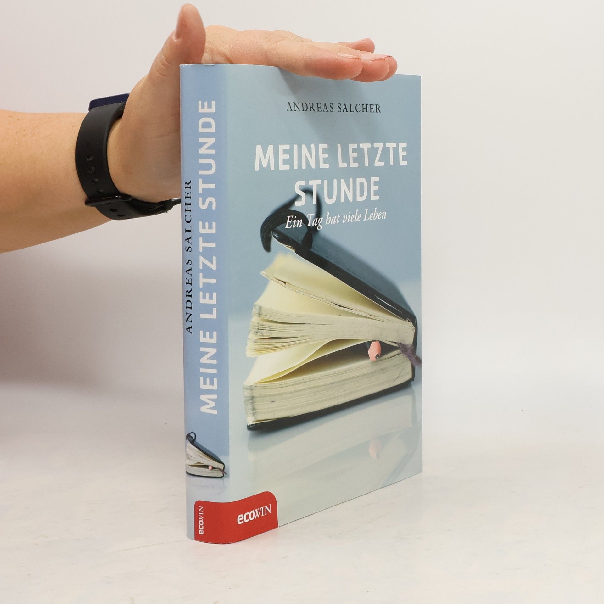 Andreas Salcher Meine letzte Stunde